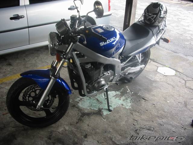 2004 SUZUKI GS 500 | Picture 271457 motorcycle photo