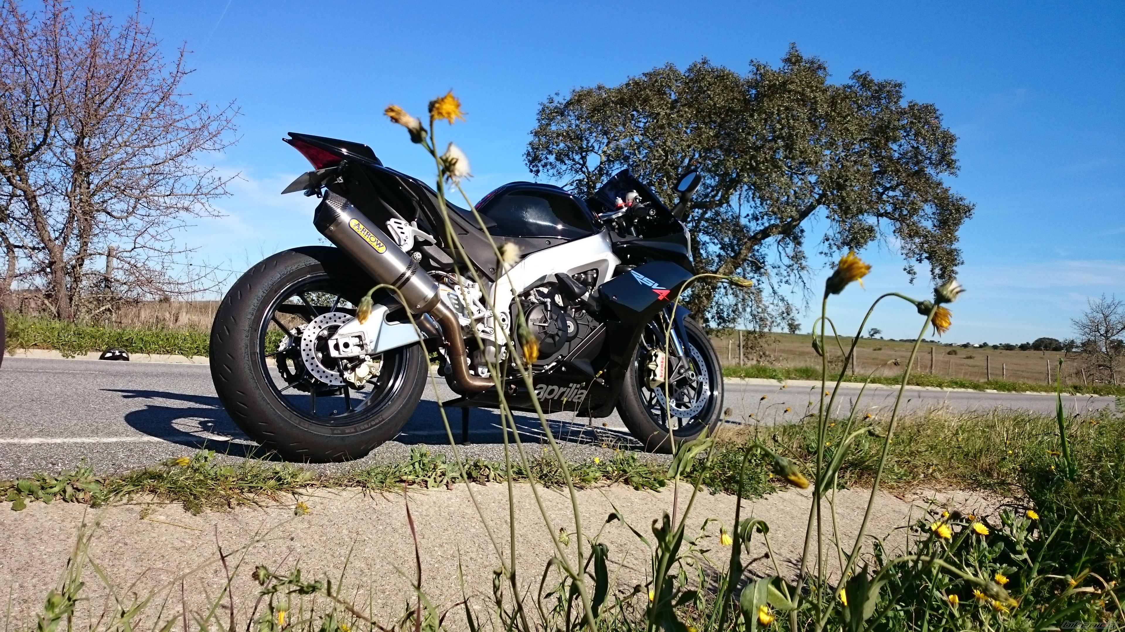 1991 SUZUKI GSX R 1100 | Picture 2716133 motorcycle photo