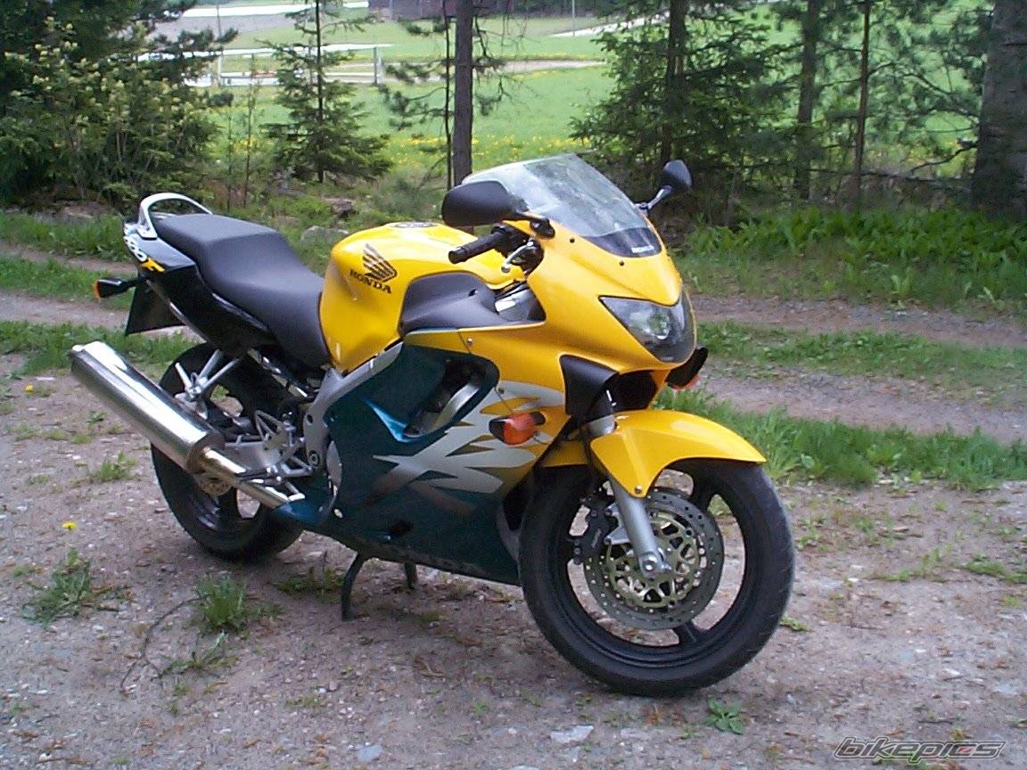 1999 HONDA CBR 600 | Picture 27165 motorcycle photo