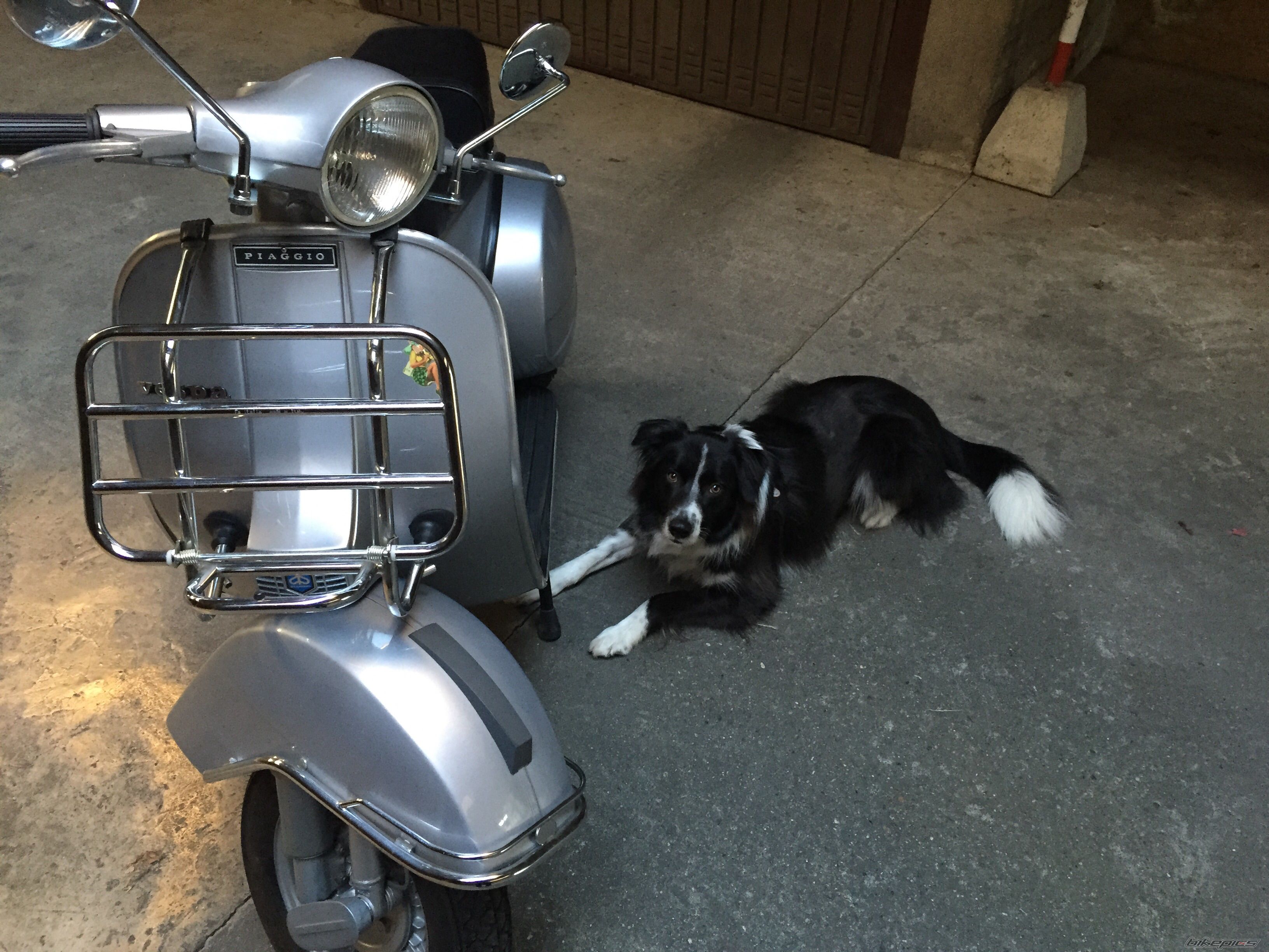 1978 PIAGGIO P200E | Picture 2717769 motorcycle photo