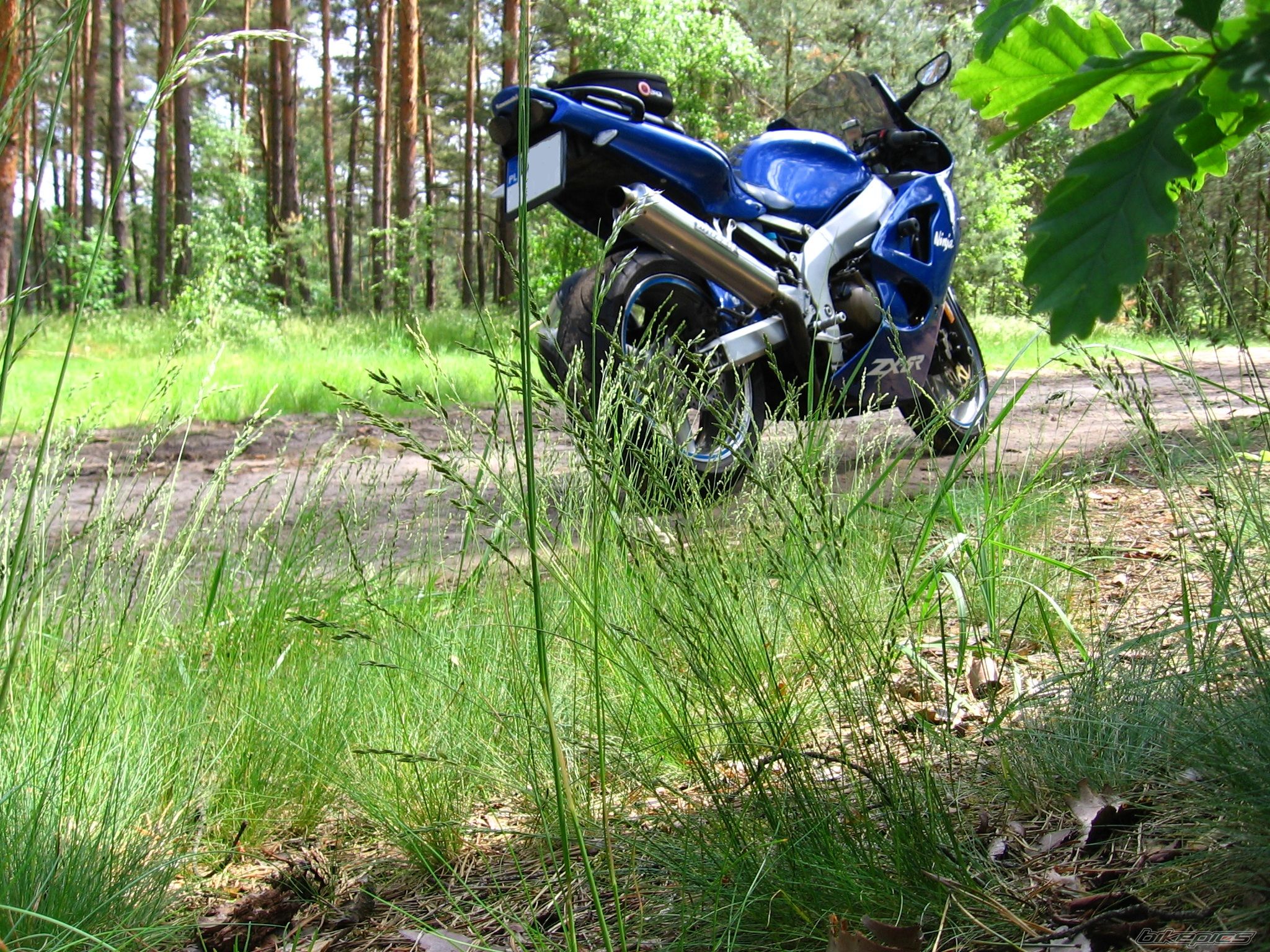 2000 KAWASAKI ZX 6R | Picture 2717835 motorcycle photo