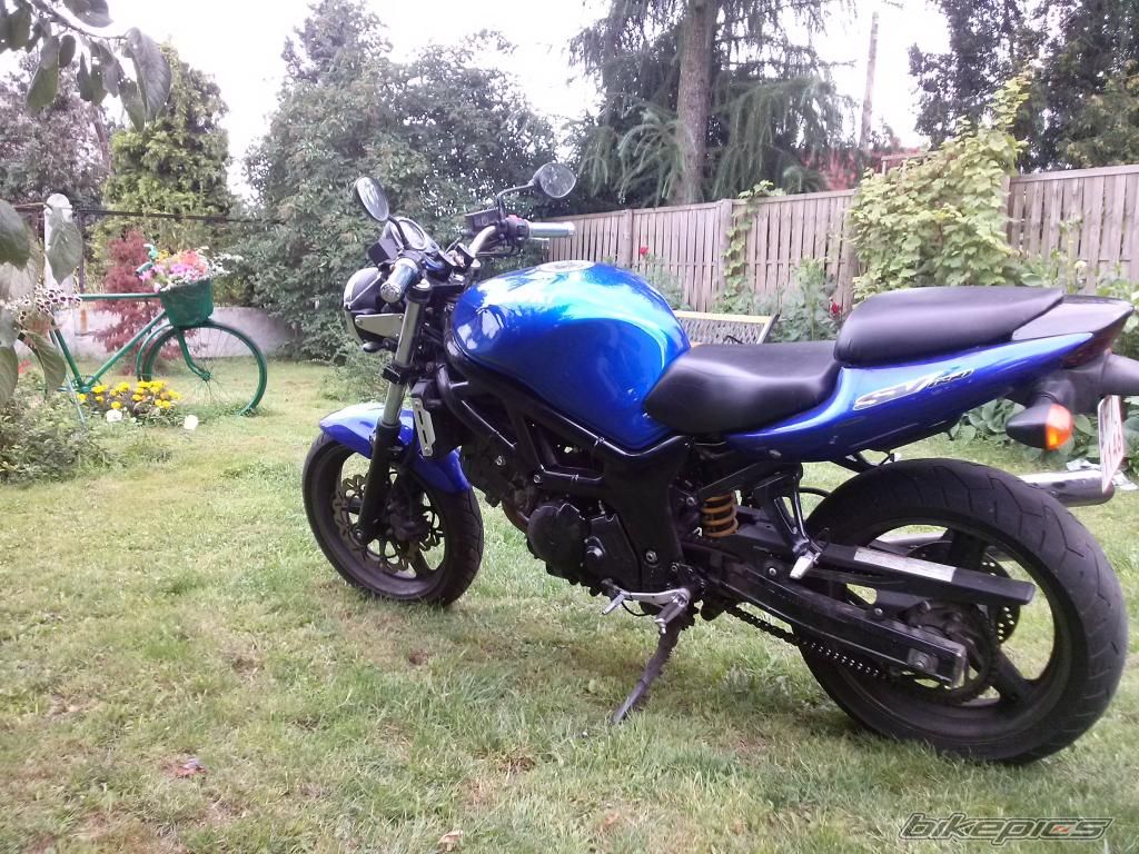 2000 SUZUKI SV 650 | Picture 2718589 motorcycle photo