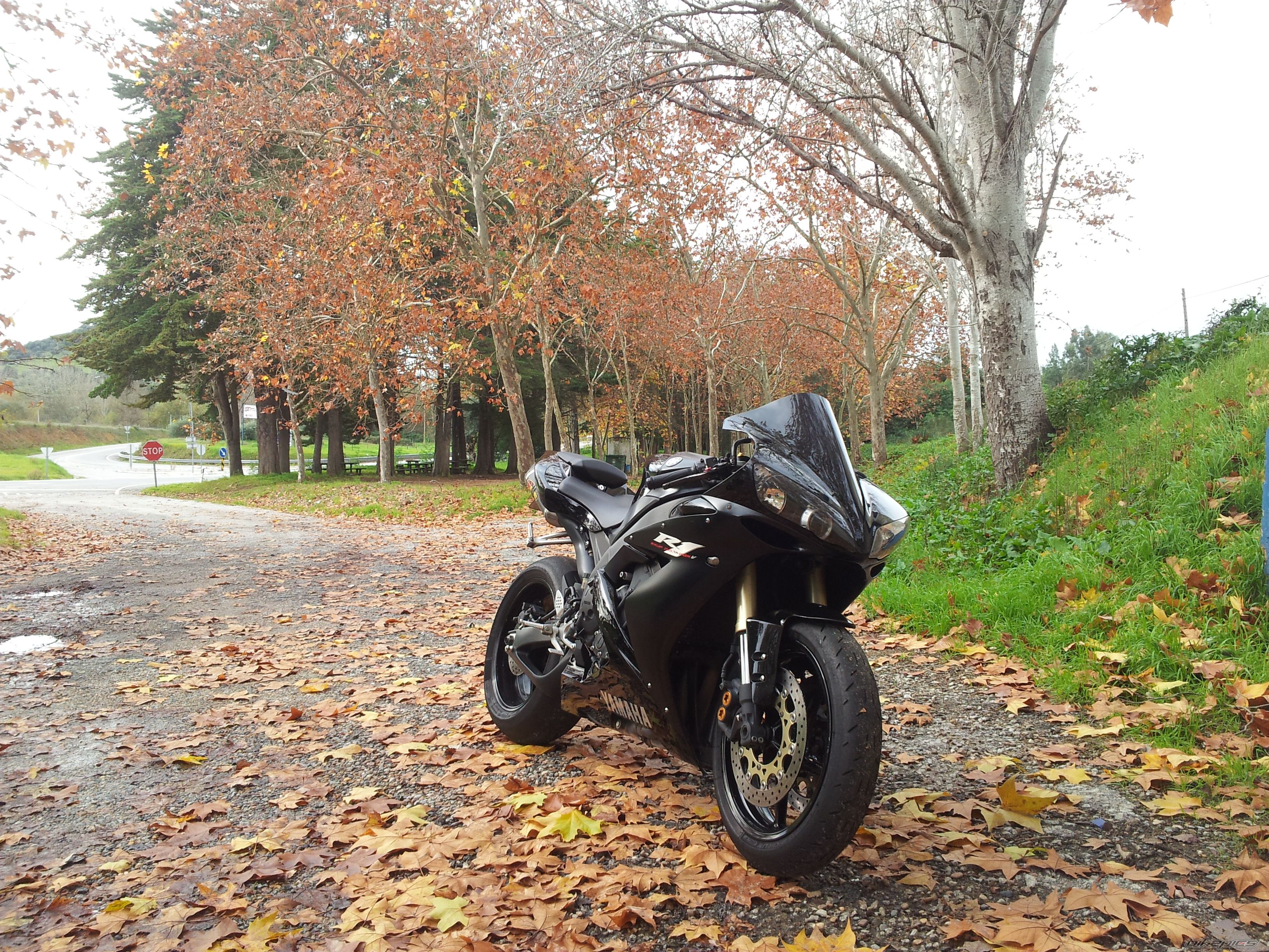 2006 YAMAHA YZF R1 | Picture 2718641 motorcycle photo