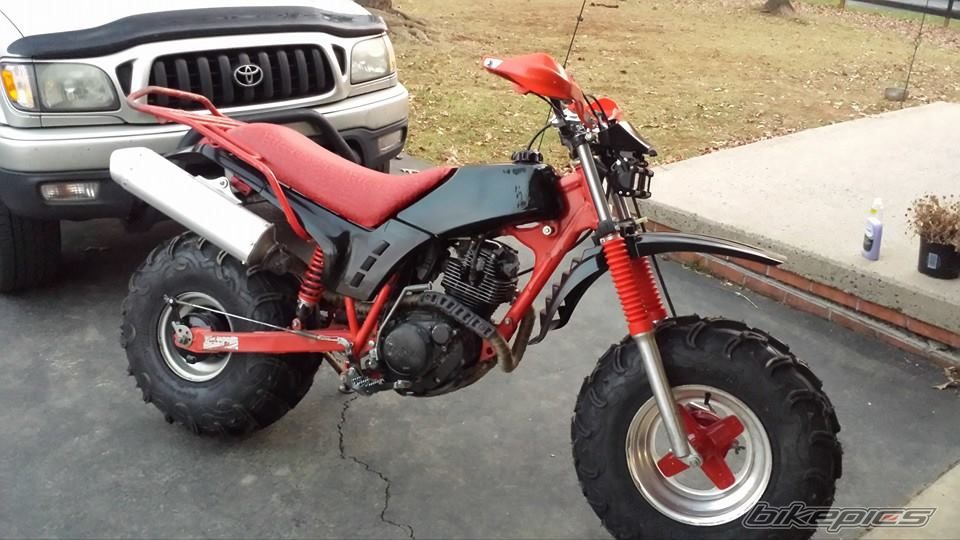 1985 YAMAHA BW 200 | Picture 2718947 motorcycle photo
