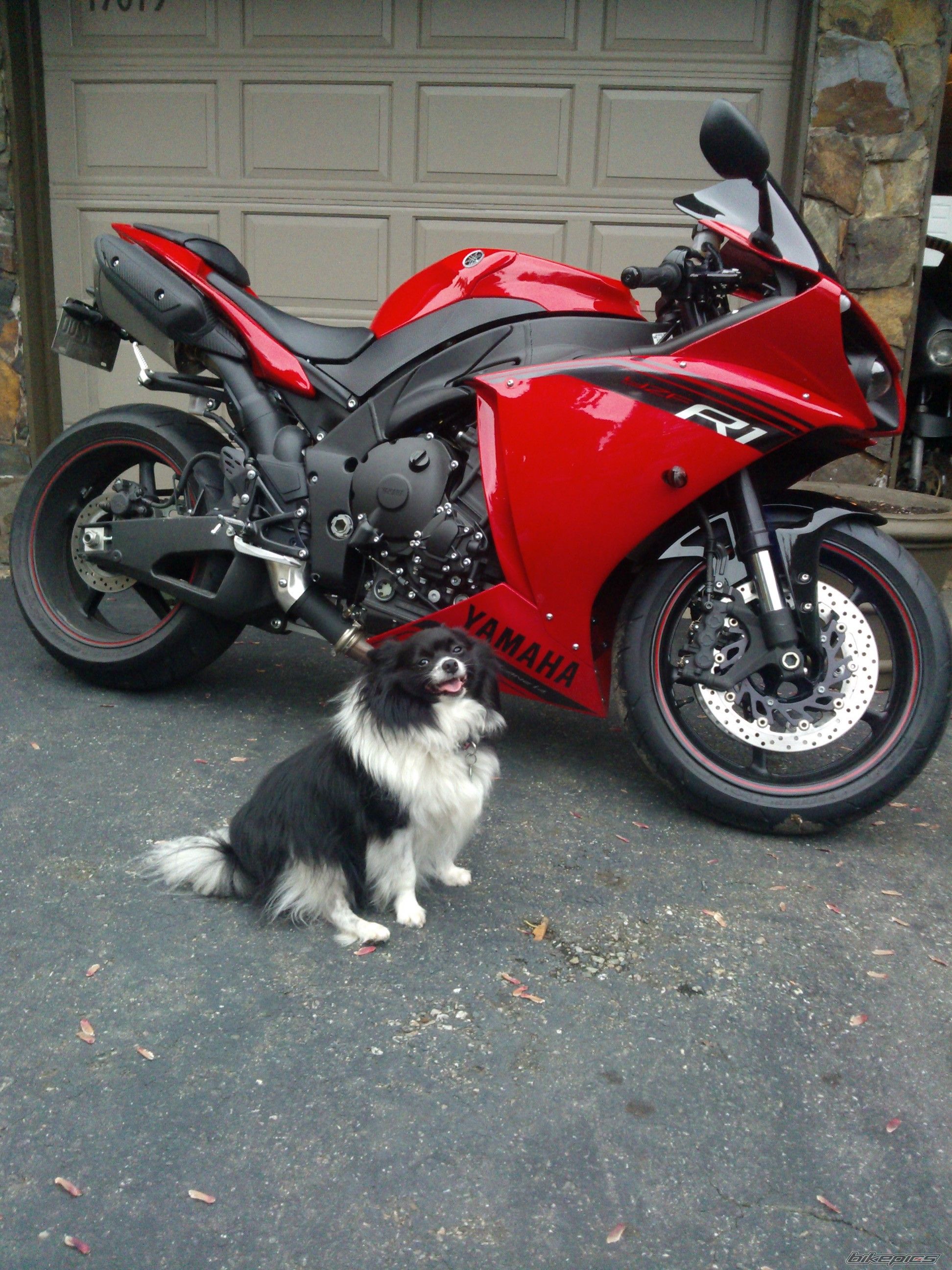 2014 YAMAHA YZF R1 | Picture 2719116 motorcycle photo