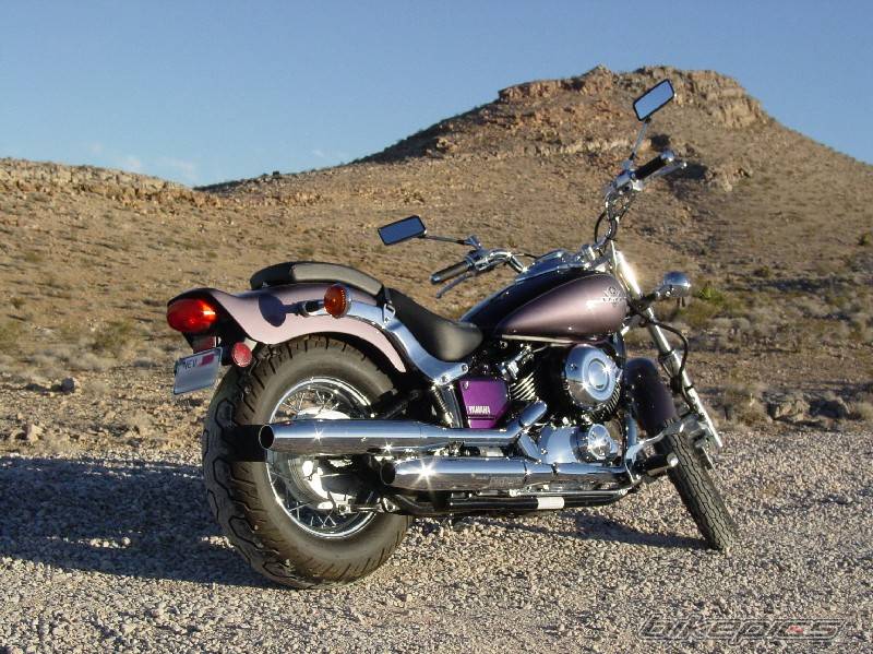 2003 YAMAHA XVS 650 V STAR | Picture 271929 motorcycle photo