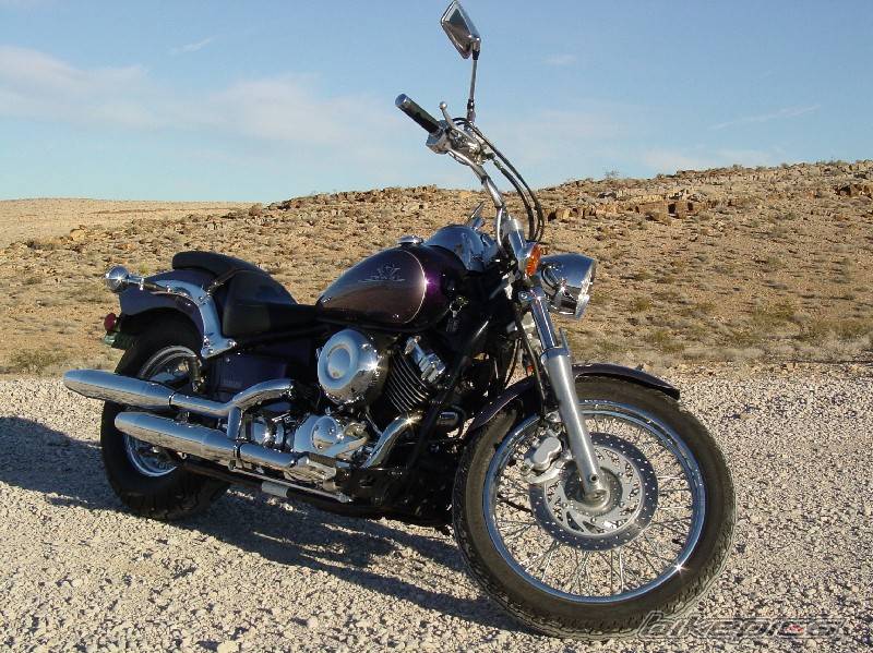 2003 YAMAHA XVS 650 V STAR | Picture 271930 motorcycle photo