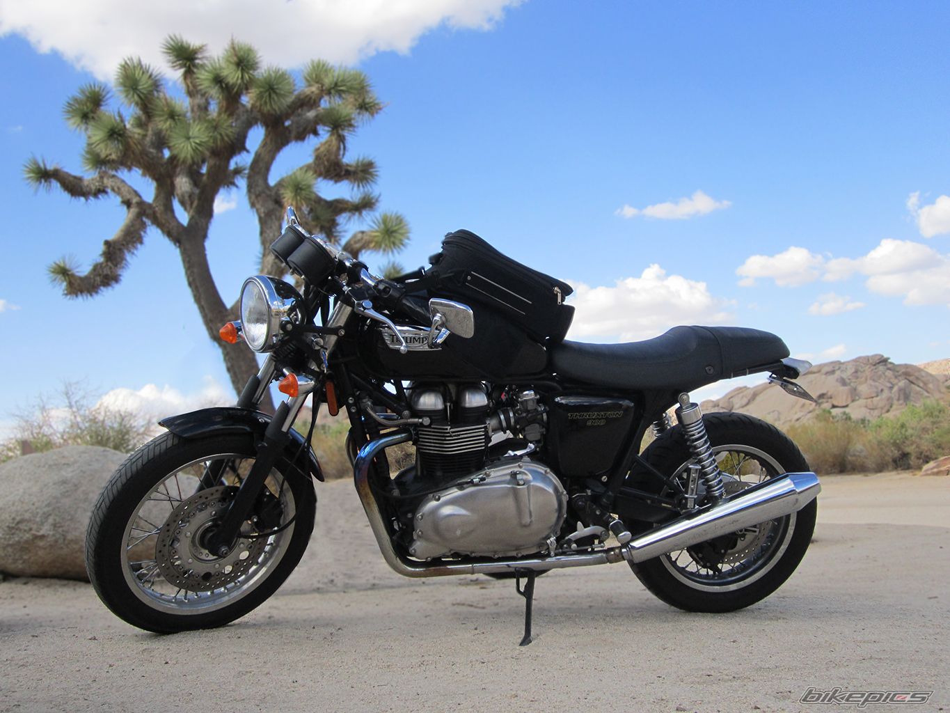 2009 TRIUMPH THRUXTON 900 | Picture 2719433 motorcycle photo