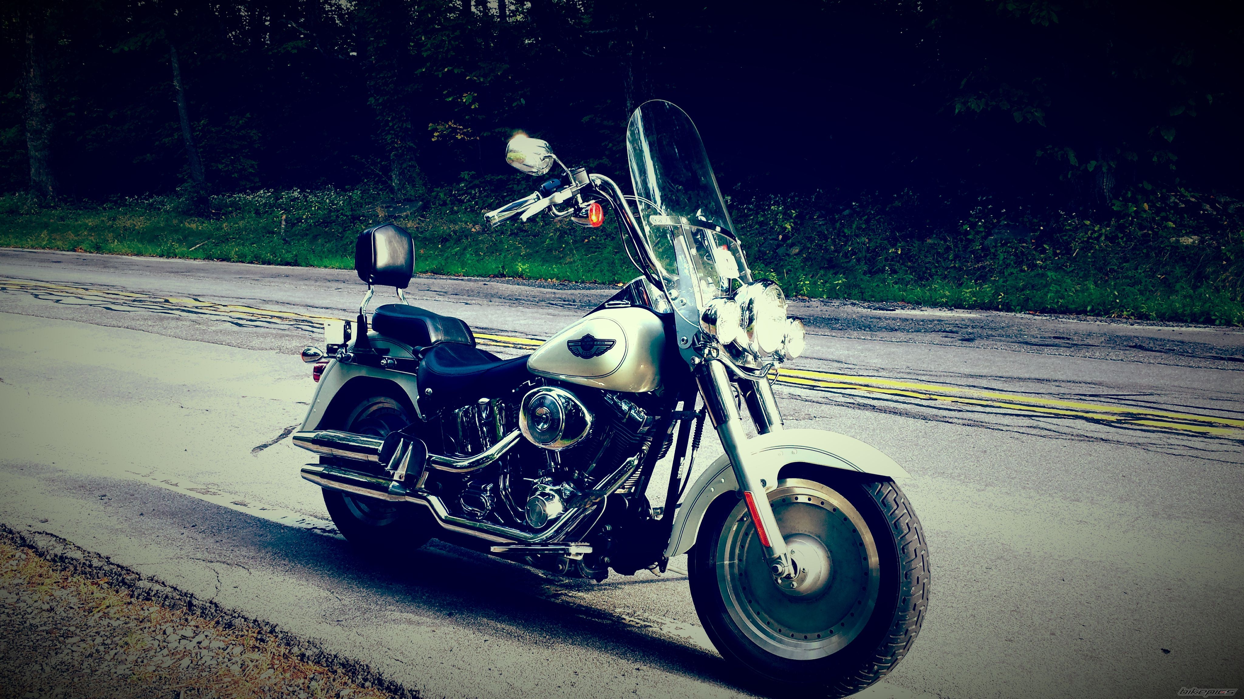 2003 HARLEY DAVIDSON FAT BOY ANNIVERSARY ED. | Picture 2719606 motorcycle photo