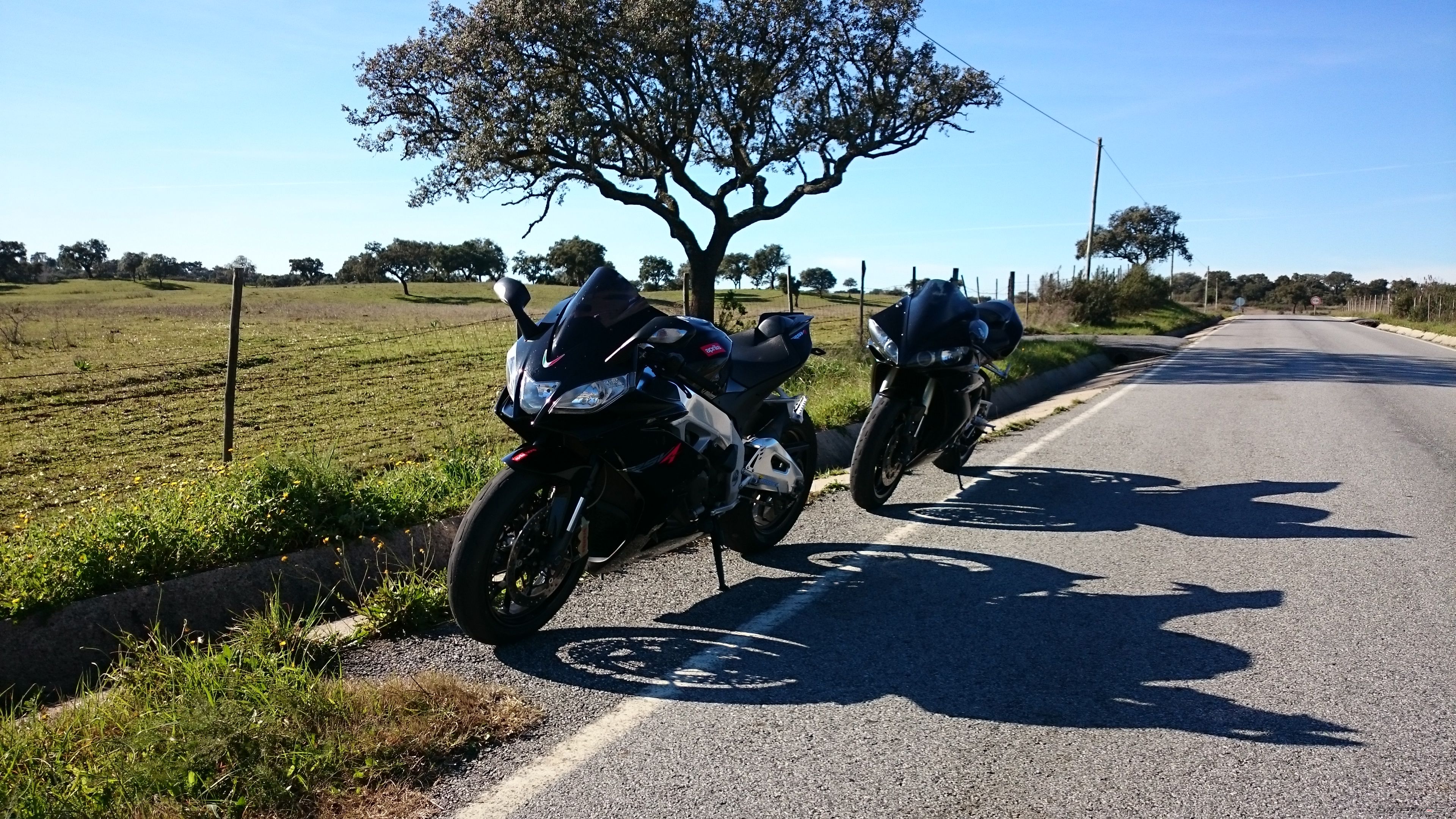 1991 SUZUKI GSX R 1100 | Picture 2719929 motorcycle photo