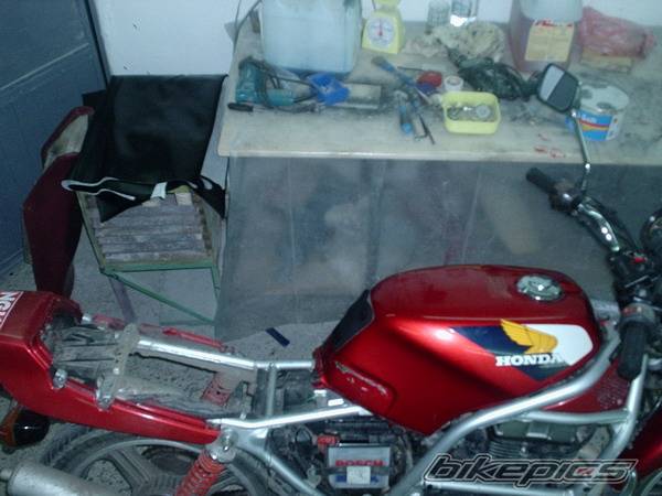 1987 HONDA CB 450 | Picture 272029 motorcycle photo