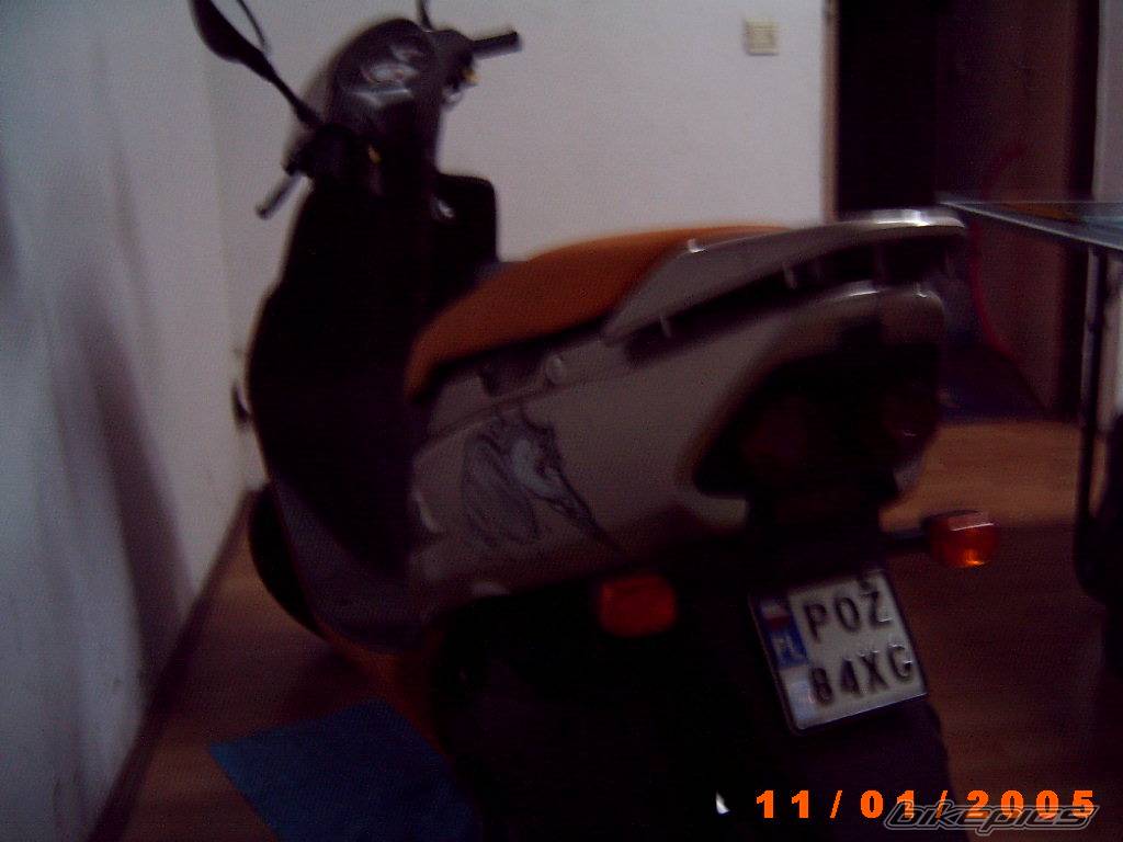 1996 HONDA SFX | Picture 272047 motorcycle photo