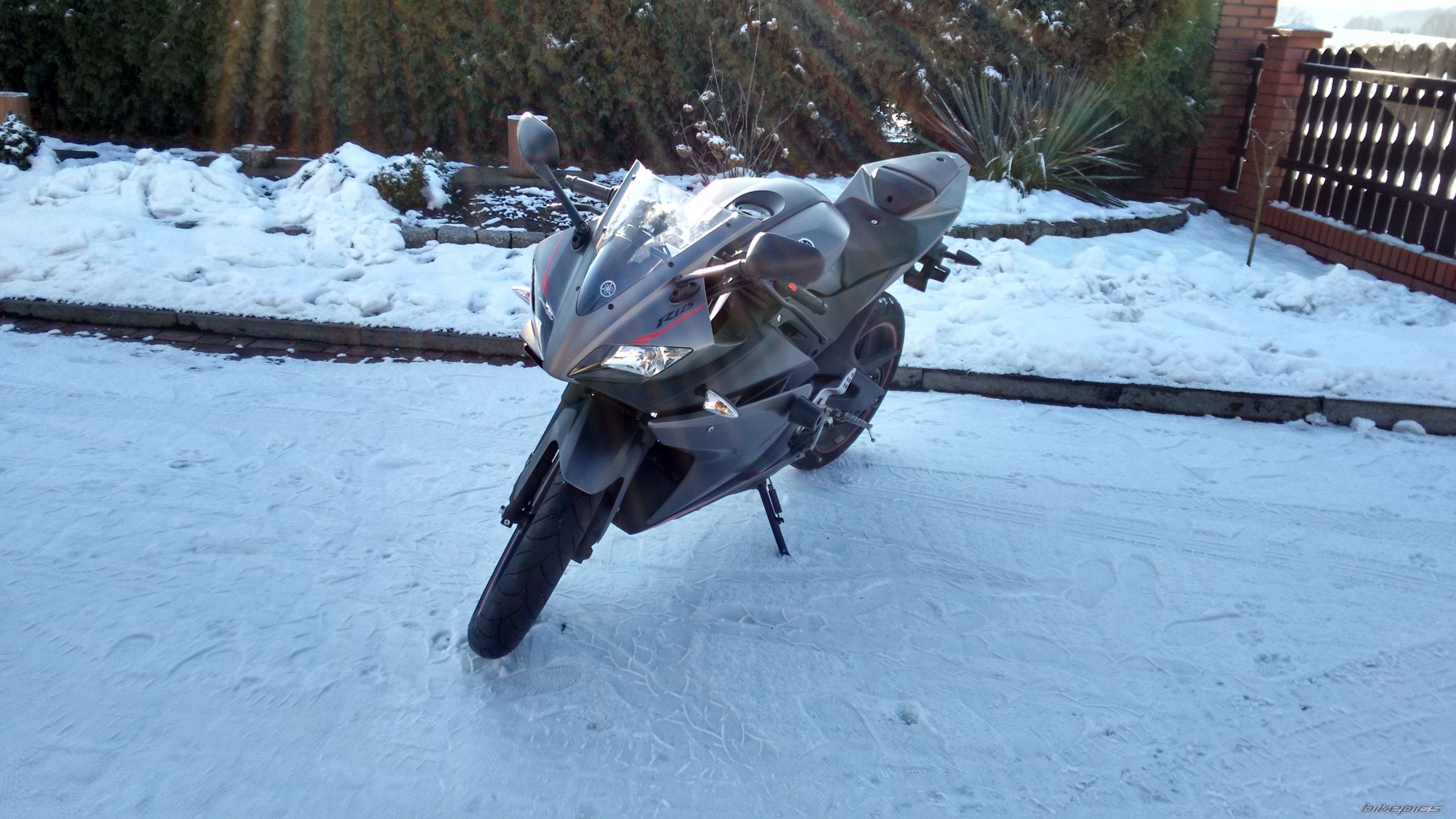 2014 YAMAHA YZF R125 | Picture 2721419 motorcycle photo