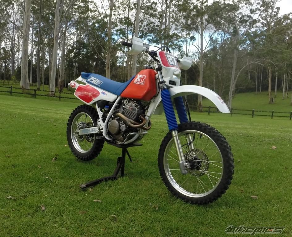 1986 HONDA XR250R | Picture 2722245 motorcycle photo