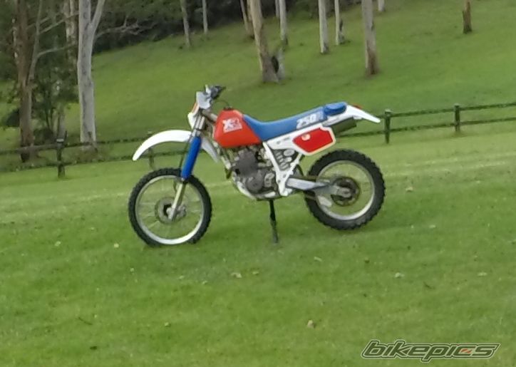 1986 HONDA XR250R | Picture 2722253 motorcycle photo
