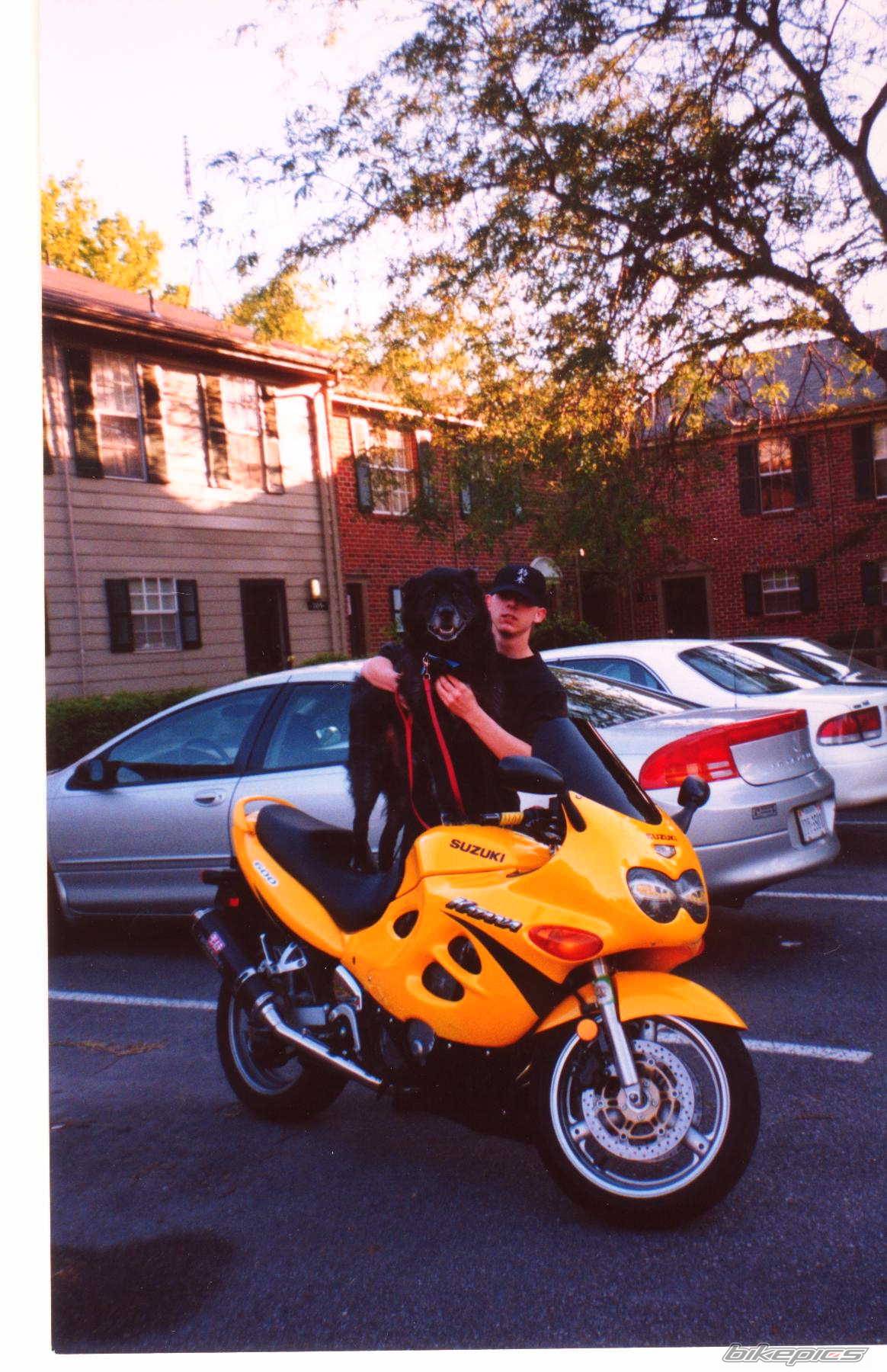 2001 SUZUKI GSX 600 | Picture 27249 motorcycle photo