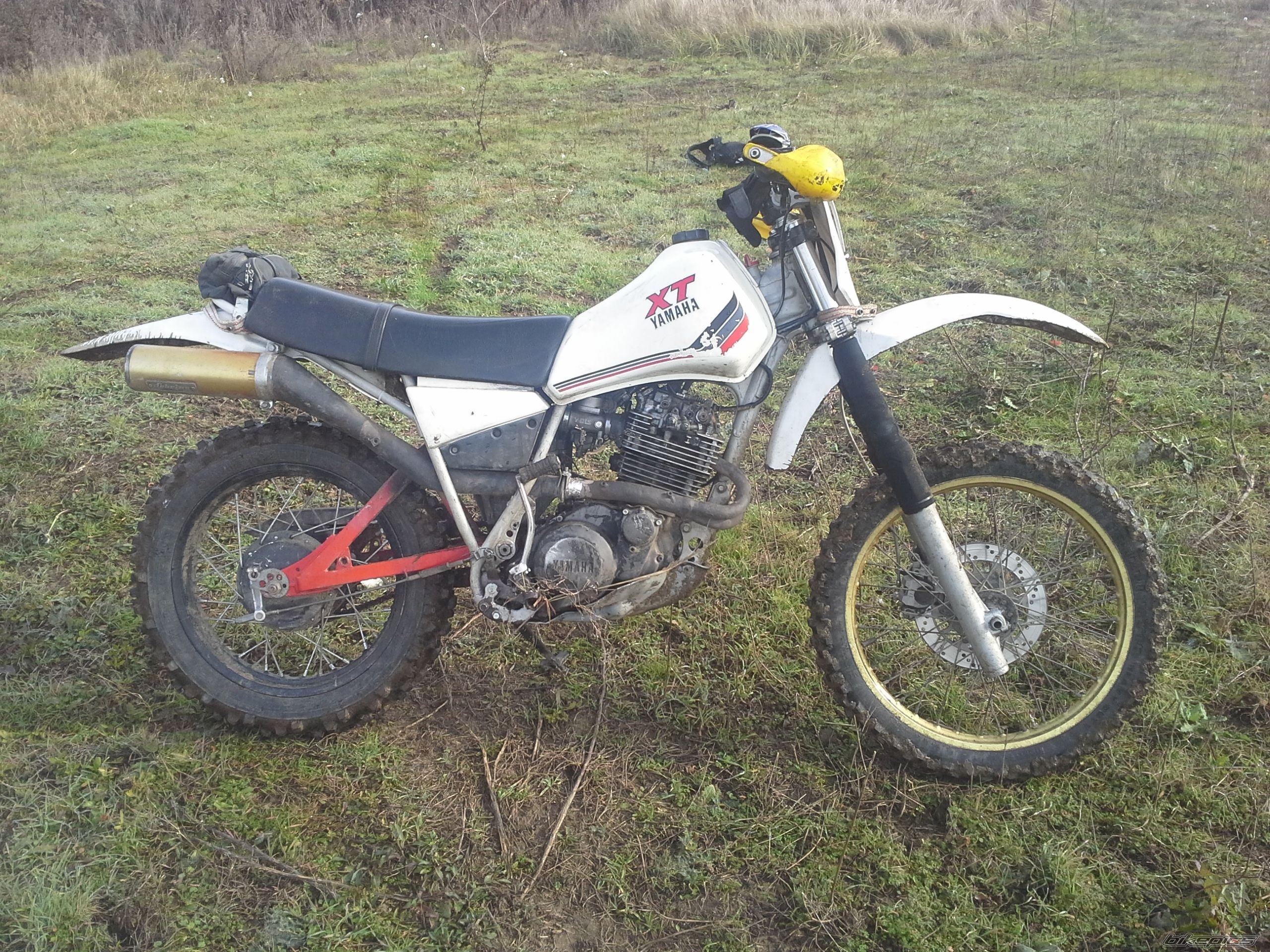 1982 YAMAHA XT 550 | Picture 2726231 motorcycle photo