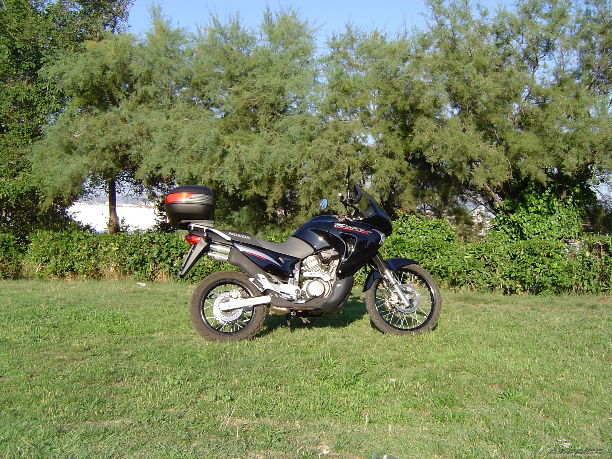 2006 HONDA XL 650V TRANSALP | Picture 2726292 motorcycle photo