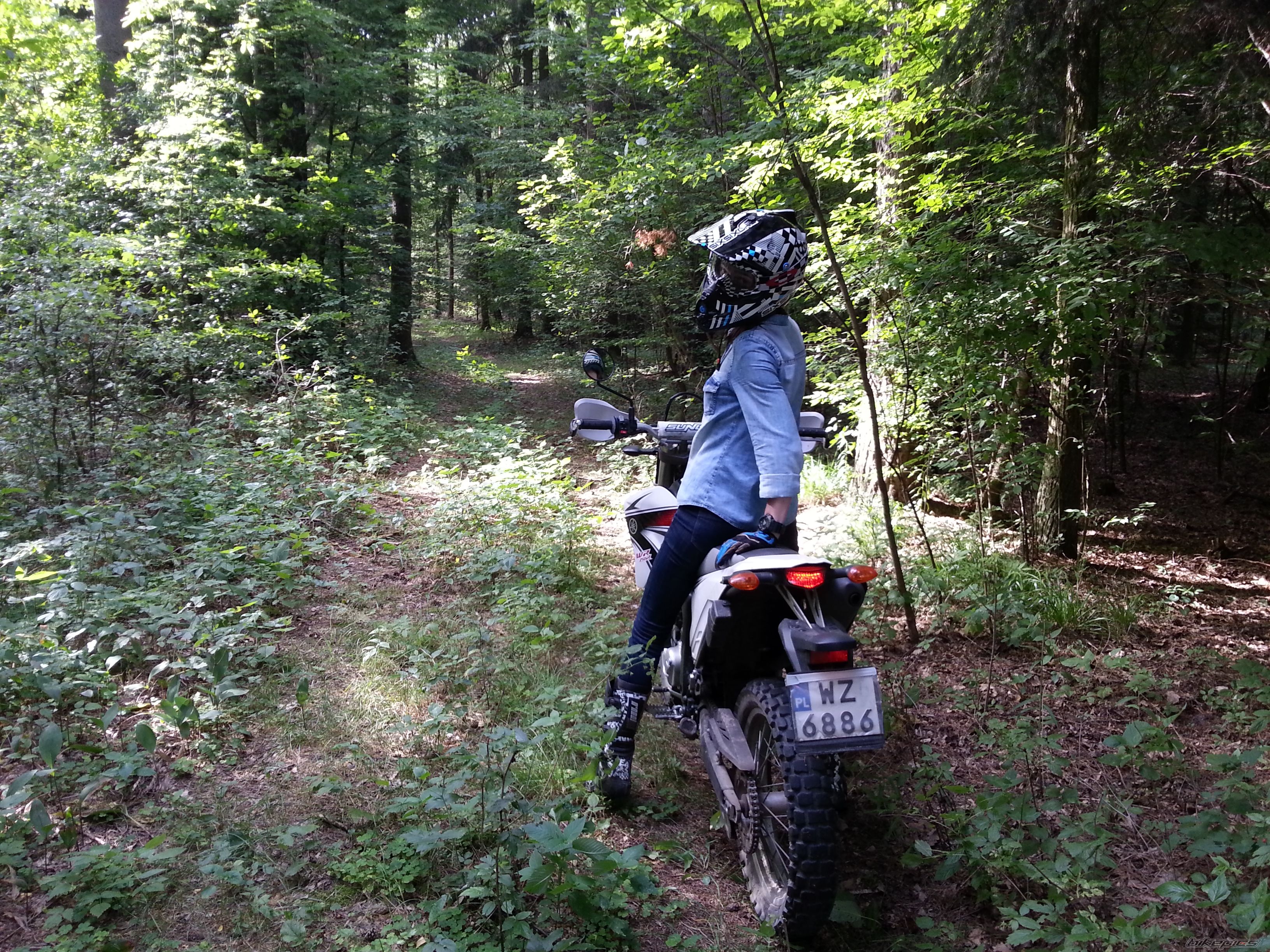 2011 YAMAHA WR250 R | Picture 2726769 motorcycle photo