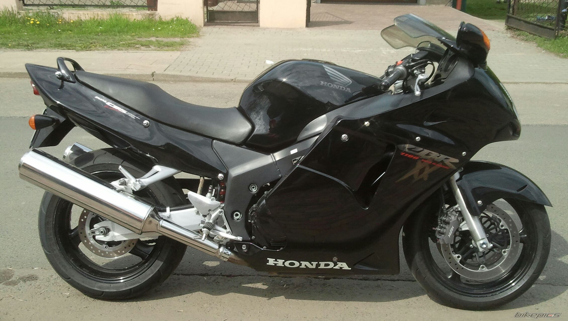 1998 HONDA CBR1100XX SUPER BLACKBIRD | Picture 2727370 motorcycle photo