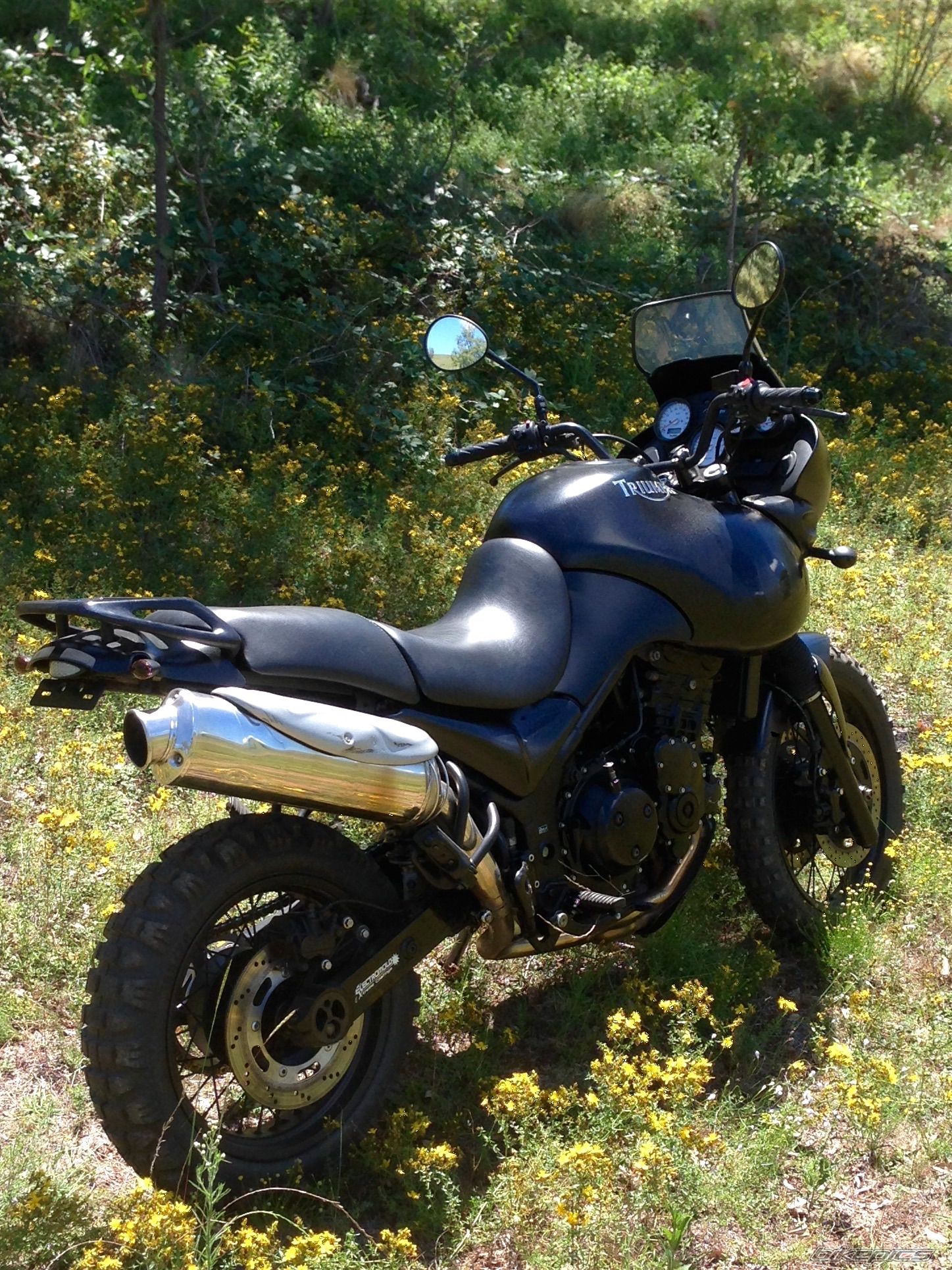 2003 TRIUMPH TIGER | Picture 2727789 motorcycle photo
