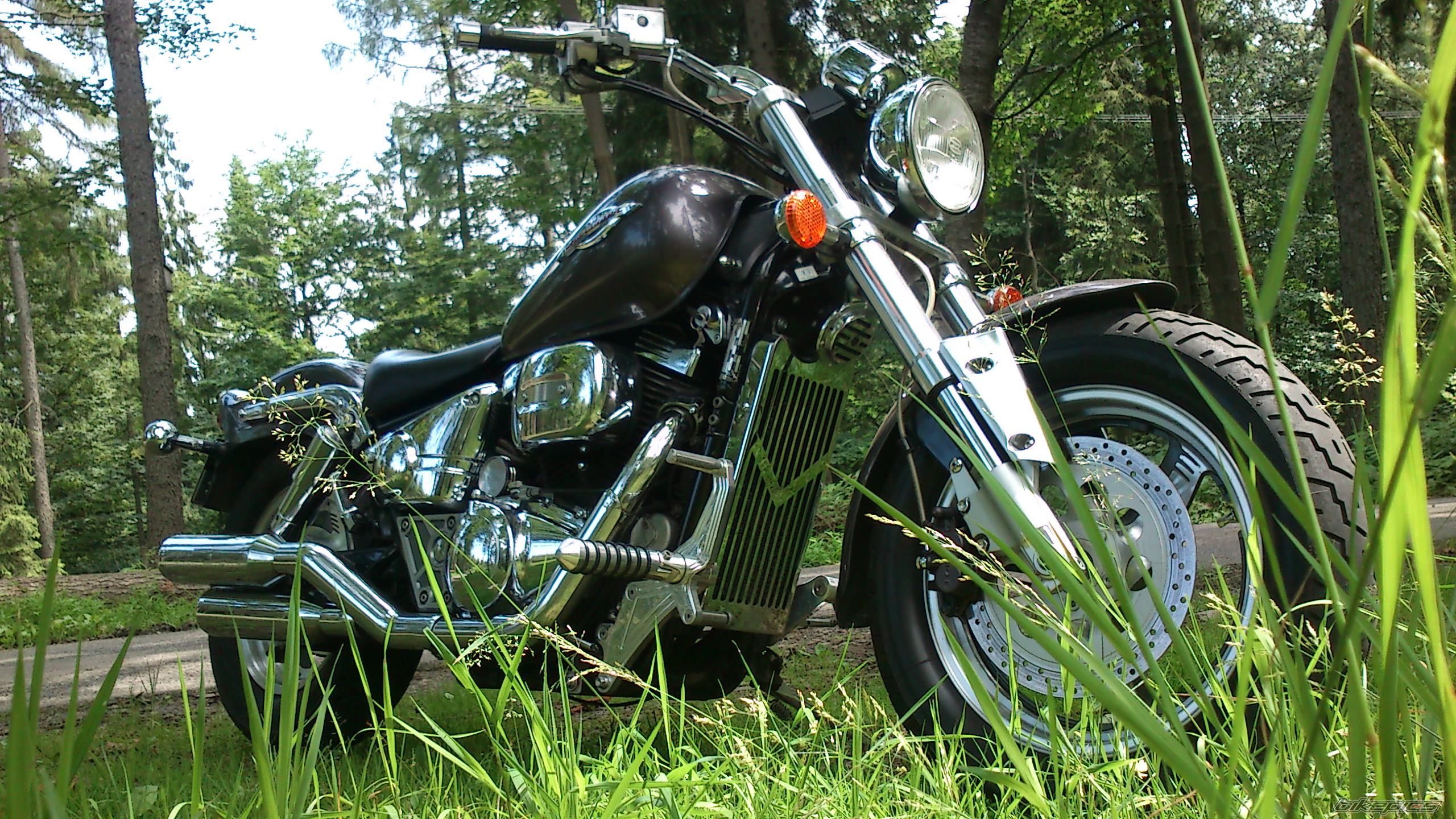 1998 SUZUKI MARAUDER VZ 800 | Picture 2728605 motorcycle photo