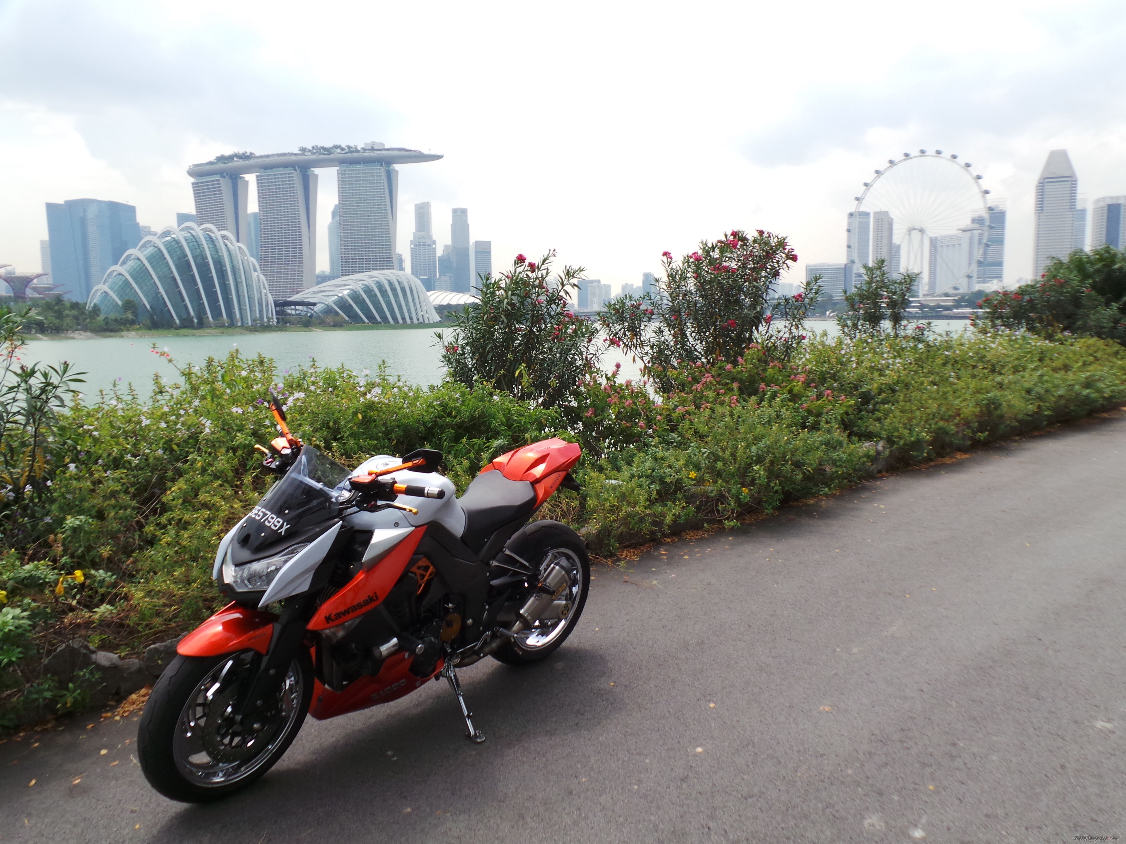 2010 KAWASAKI Z1000 | Picture 2729328 motorcycle photo