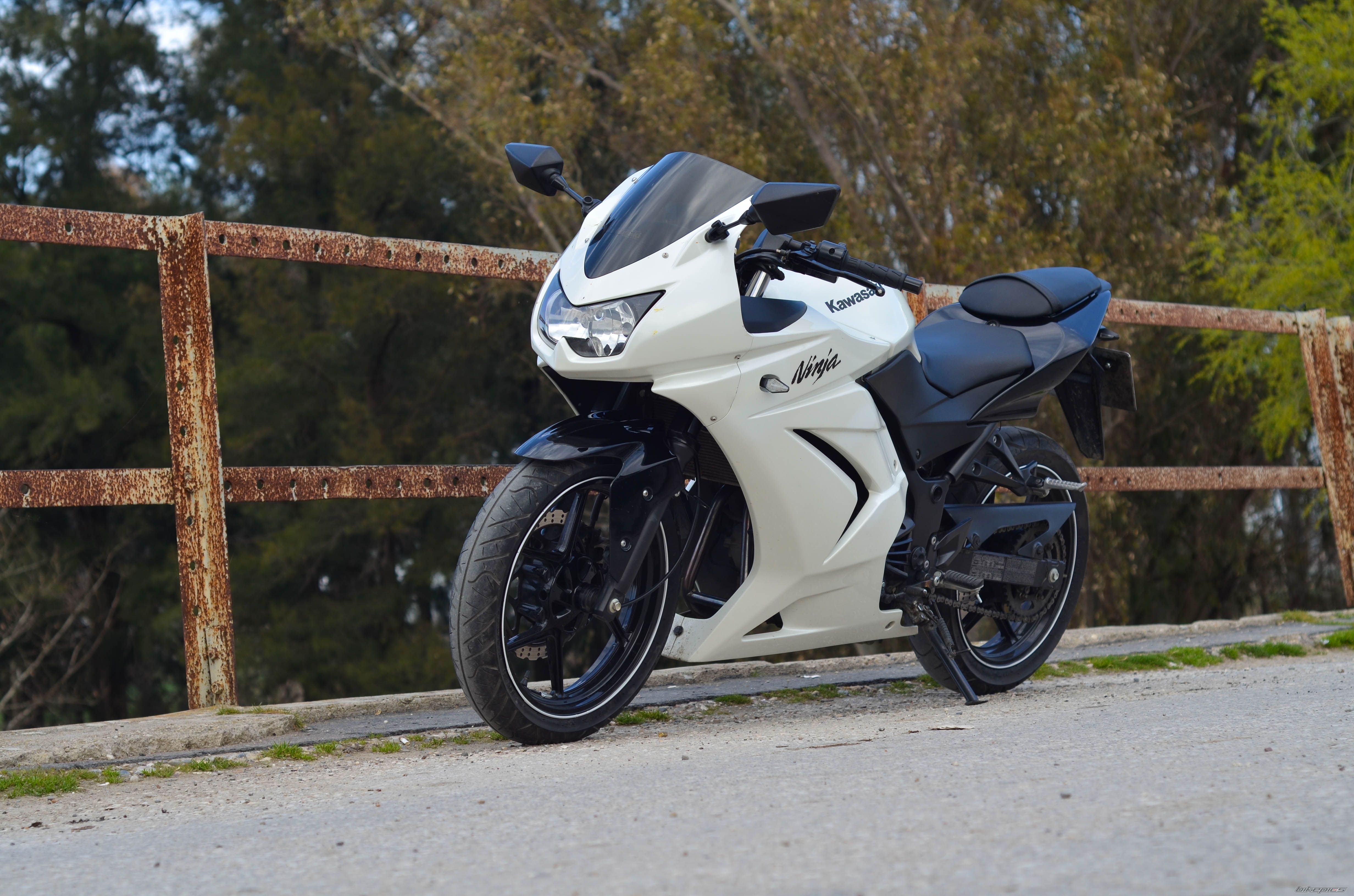 2011 KAWASAKI NINJA 250R | Picture 2729461 motorcycle photo