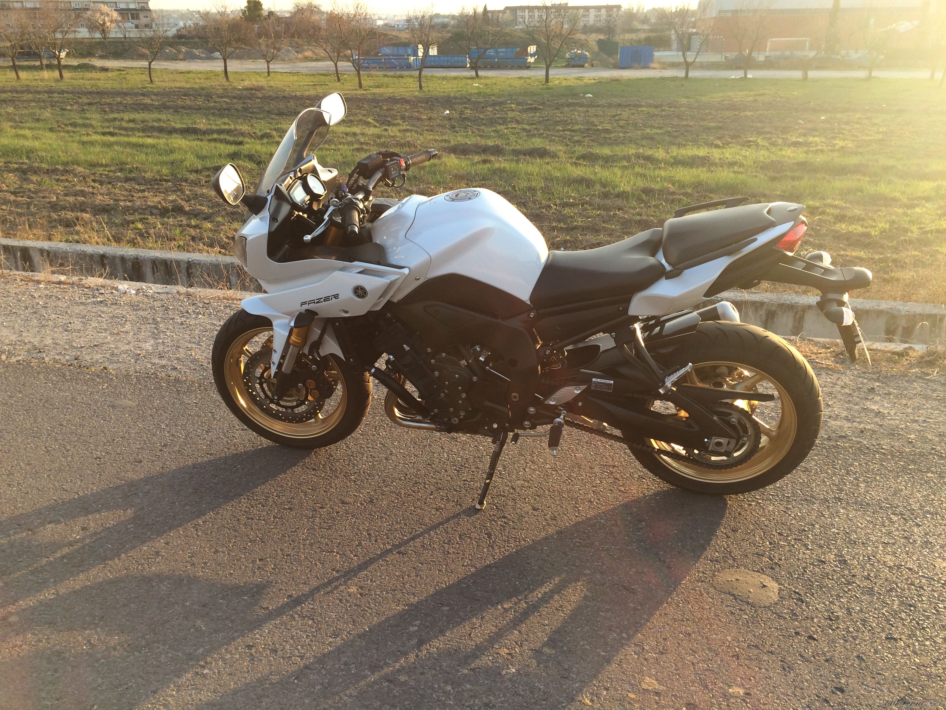2013 YAMAHA FZ8 FAZER | Picture 2729587 motorcycle photo