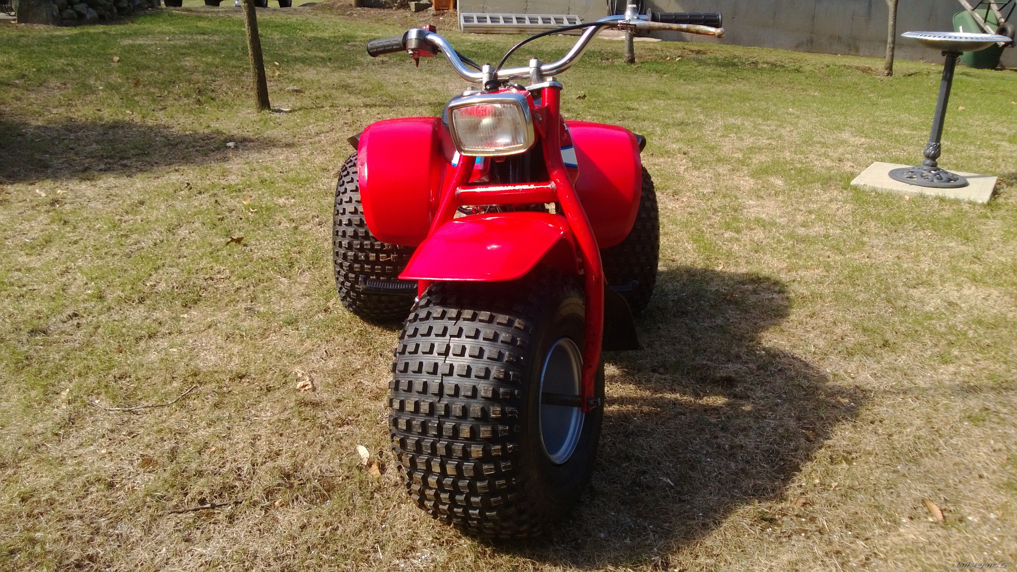 1981 HONDA ATC 110 | Picture 2729721 motorcycle photo