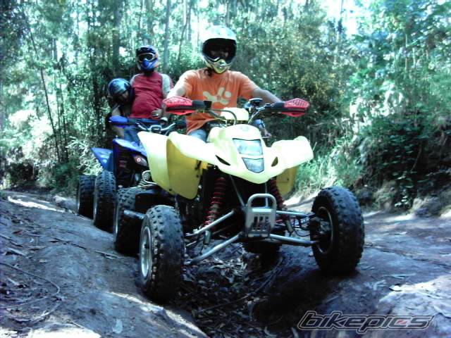 2004 SUZUKI LTZ 400 | Picture 273006 motorcycle photo