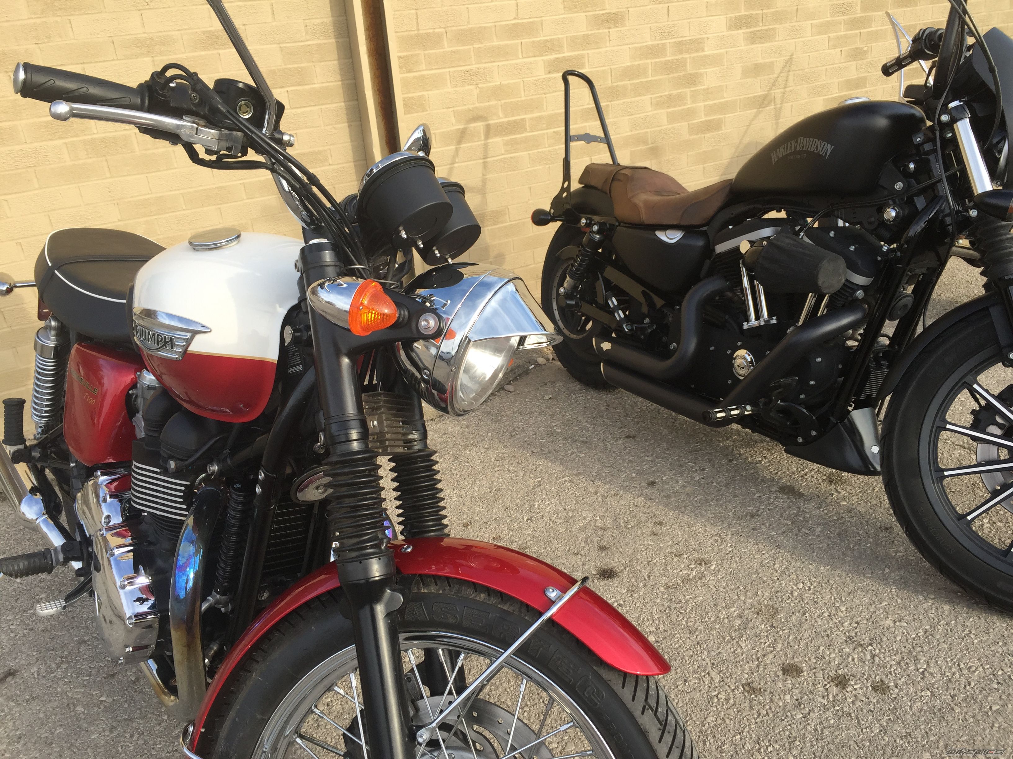 2013 TRIUMPH BONNEVILLE T100 | Picture 2730278 motorcycle photo