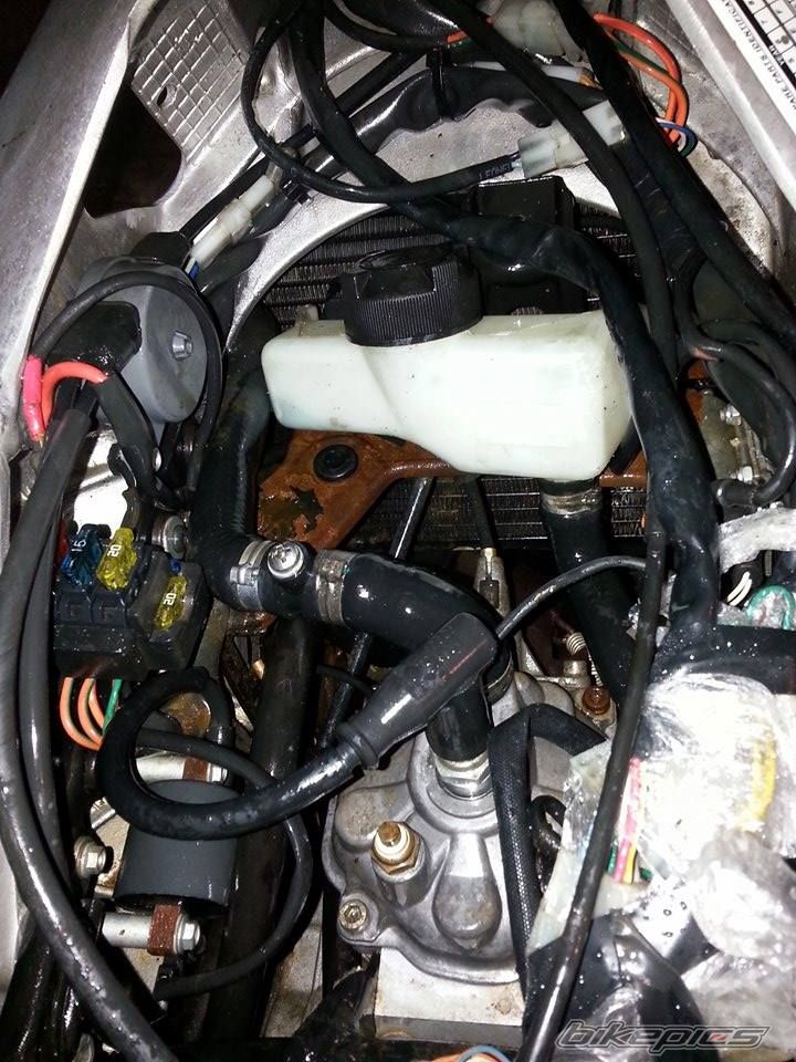 2006 APRILIA RS 125 | Picture 2730916 motorcycle photo