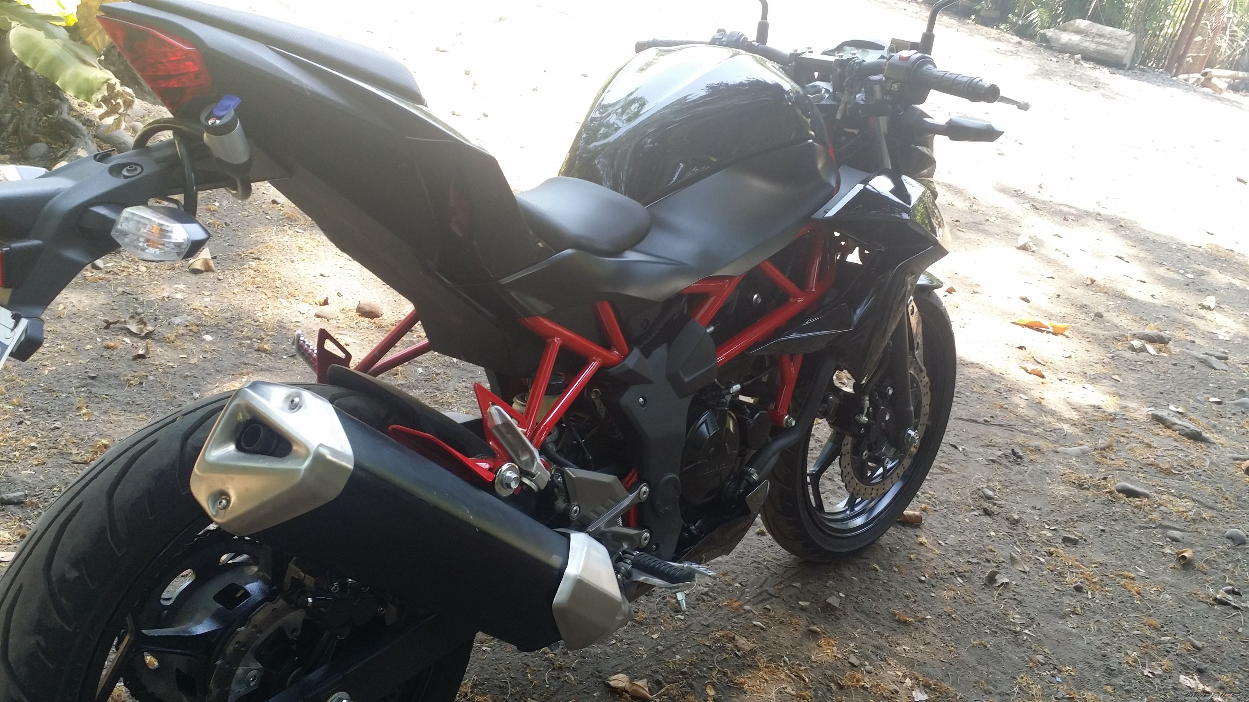 2015 KAWASAKI Z 250 | Picture 2731625 motorcycle photo
