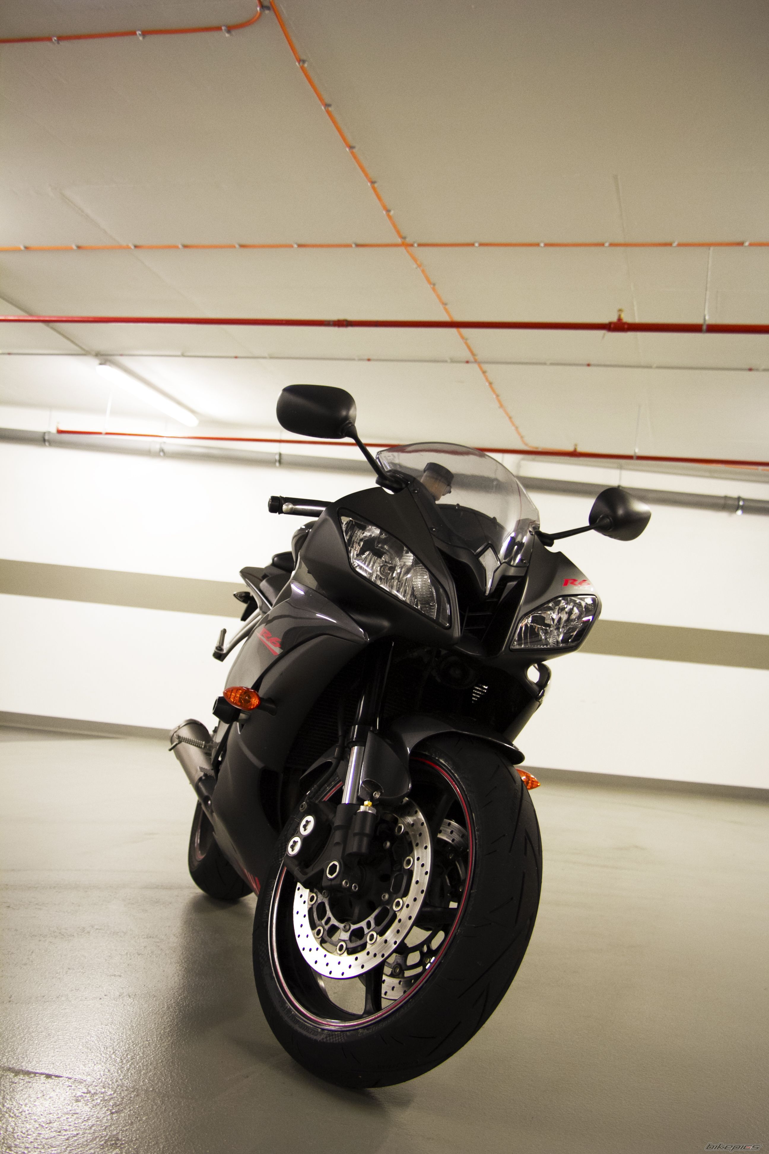 2008 YAMAHA YZF R6 | Picture 2731878 motorcycle photo