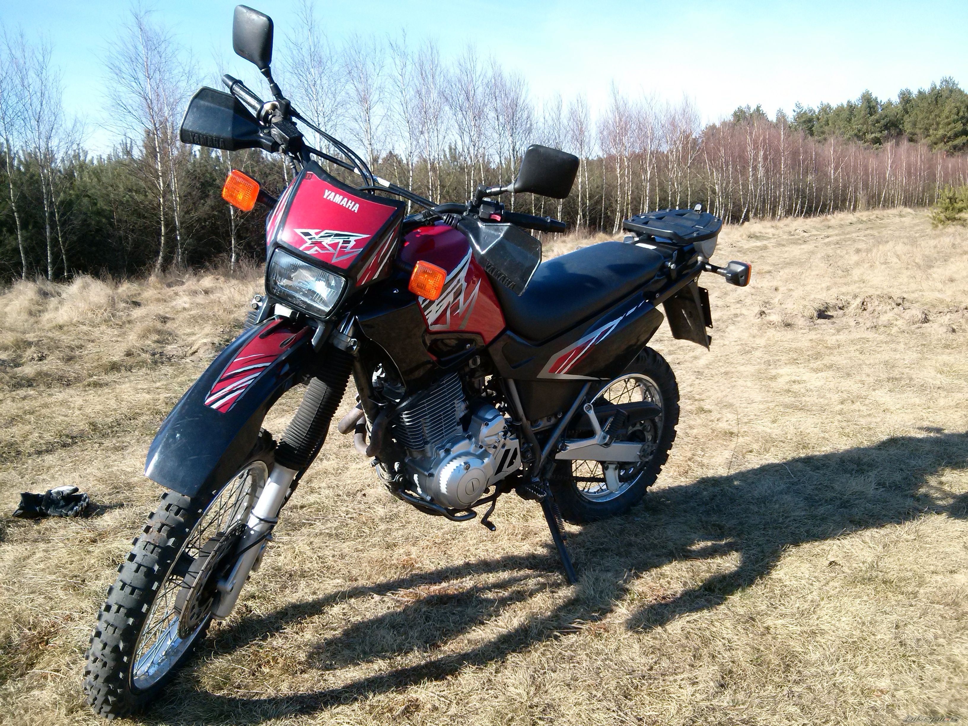 1998 YAMAHA XT 600 | Picture 2732533 motorcycle photo