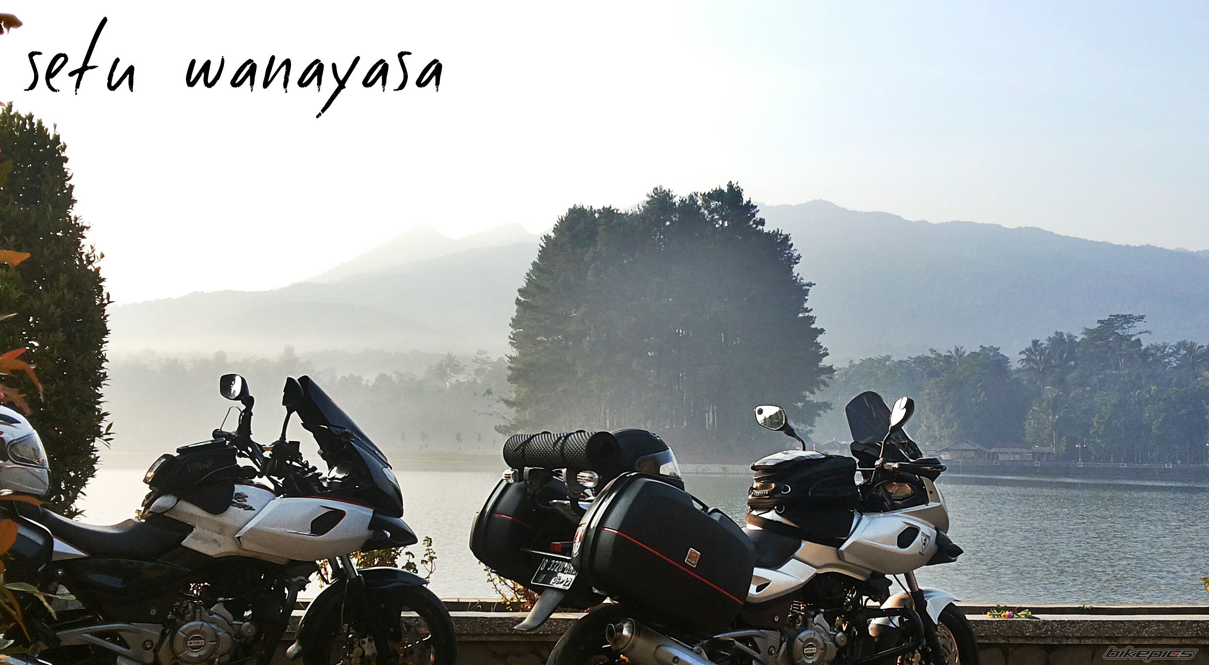 2012 BAJAJ PULSAR 220F | Picture 2733125 motorcycle photo