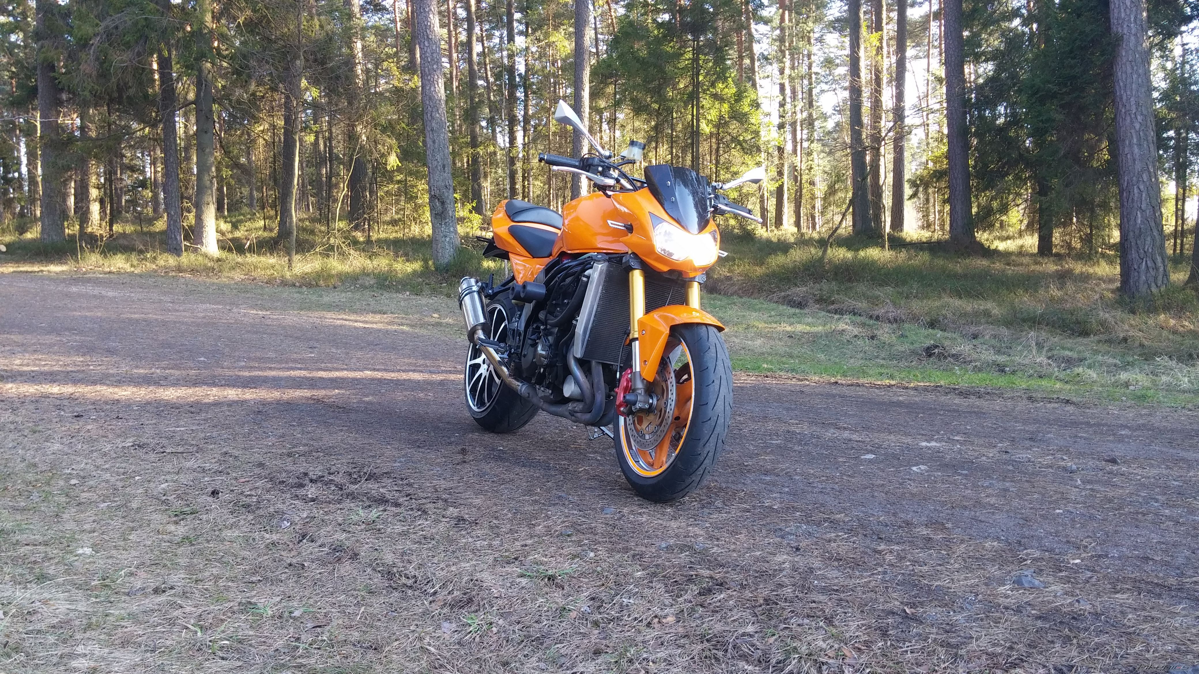 2003 KAWASAKI Z 1000 | Picture 2733769 motorcycle photo
