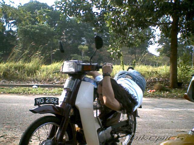 1988 HONDA C 90 | Picture 273510 motorcycle photo