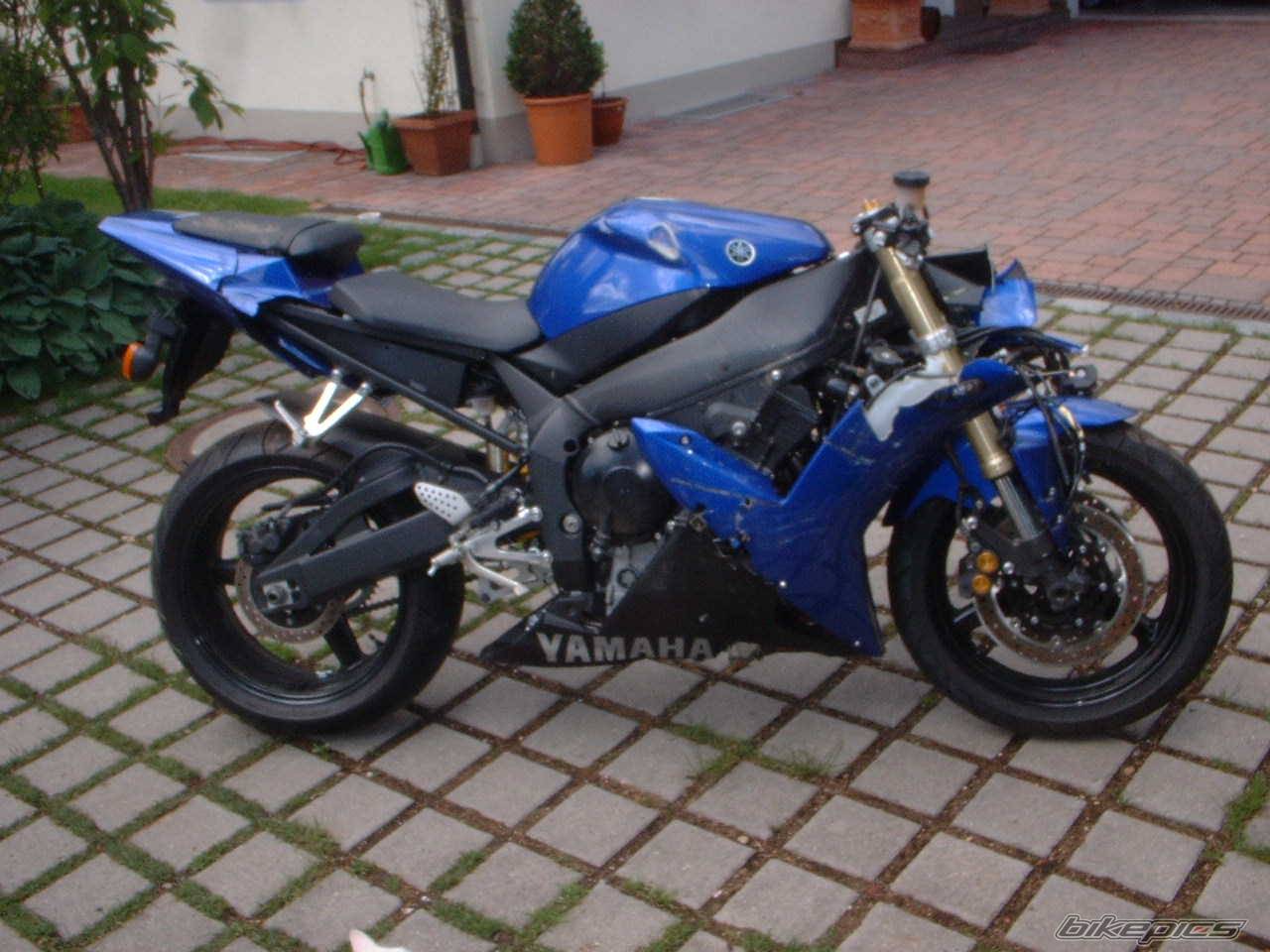 2002 YAMAHA YZF R1 | Picture 273528 motorcycle photo
