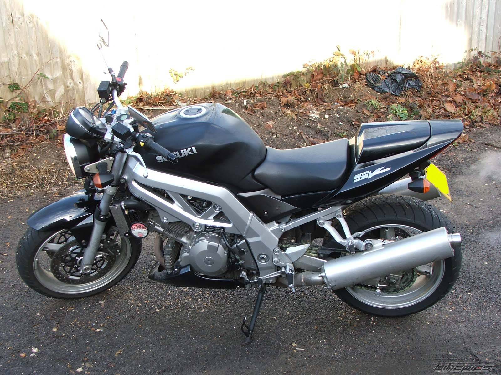 2003 SUZUKI SV 1000 | Picture 273593 motorcycle photo