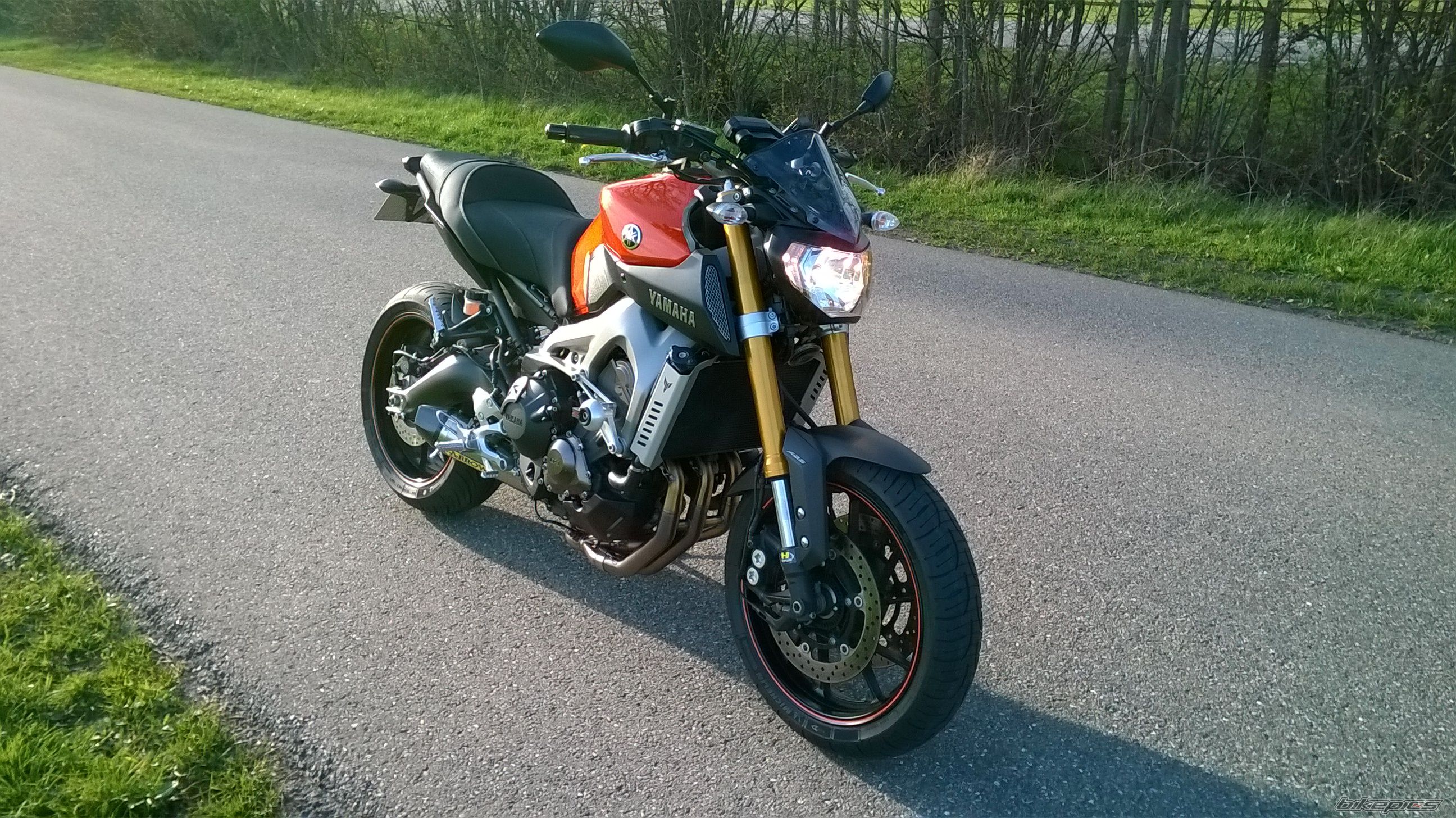 2014 YAMAHA MT 09 | Picture 2736318 motorcycle photo