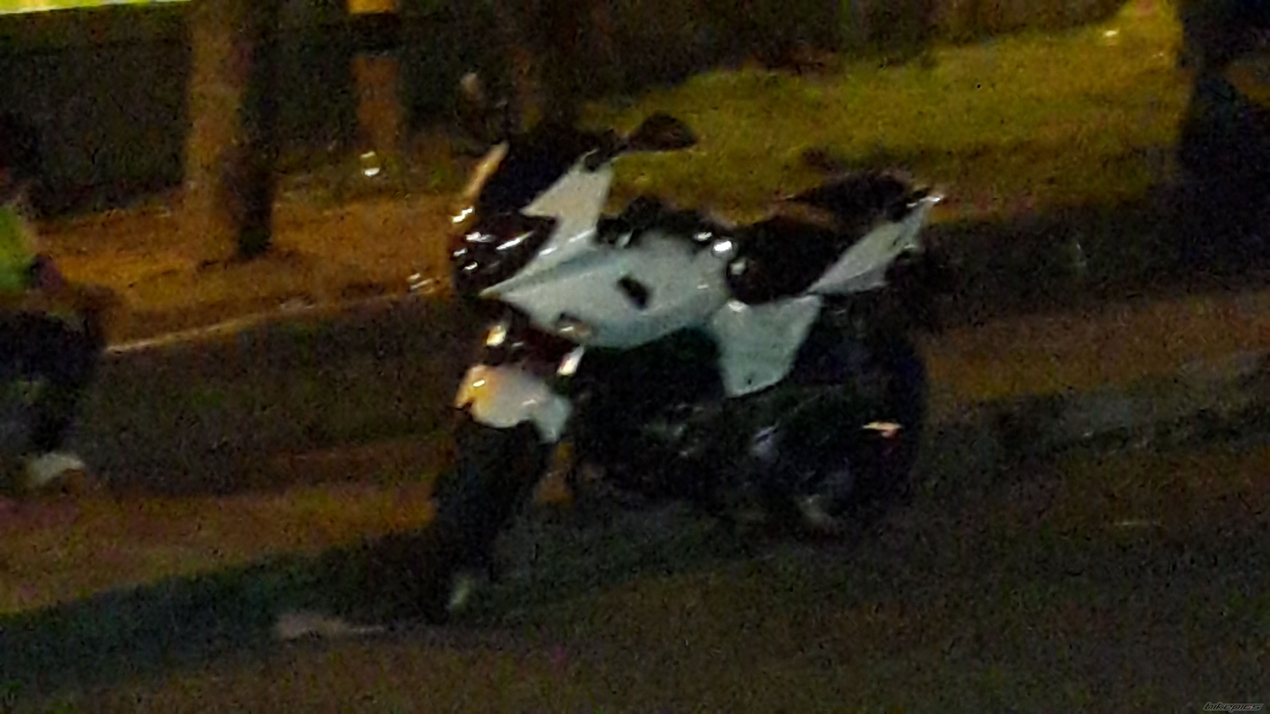 2013 BAJAJ PULSAR 220F | Picture 2736621 motorcycle photo