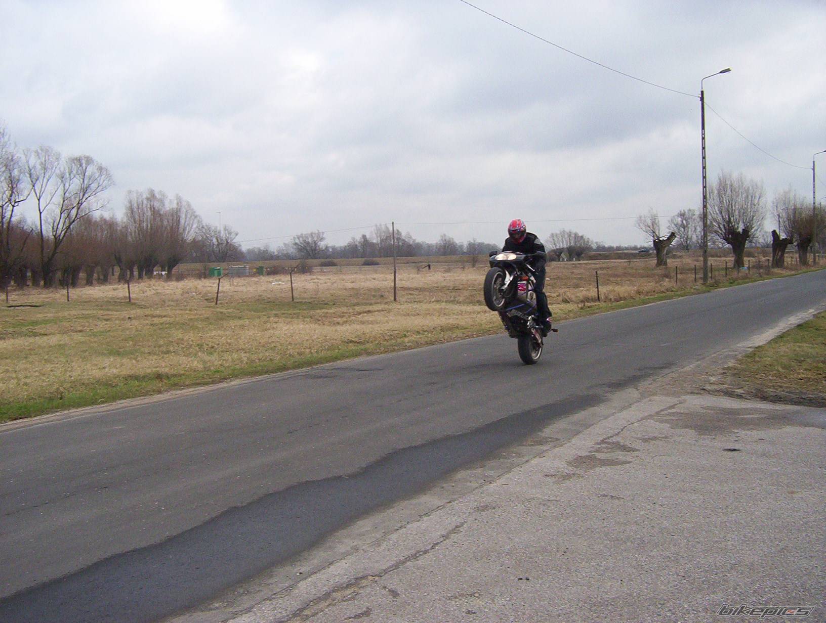 1993 SUZUKI GSX R 750 | Picture 273760 motorcycle photo