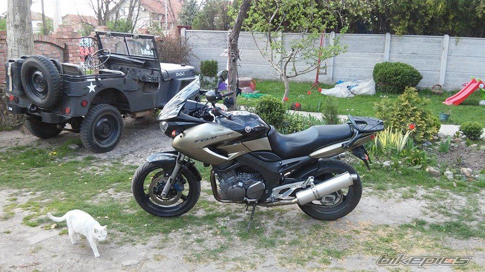 2005 YAMAHA TDM 900 | Picture 2737628 motorcycle photo