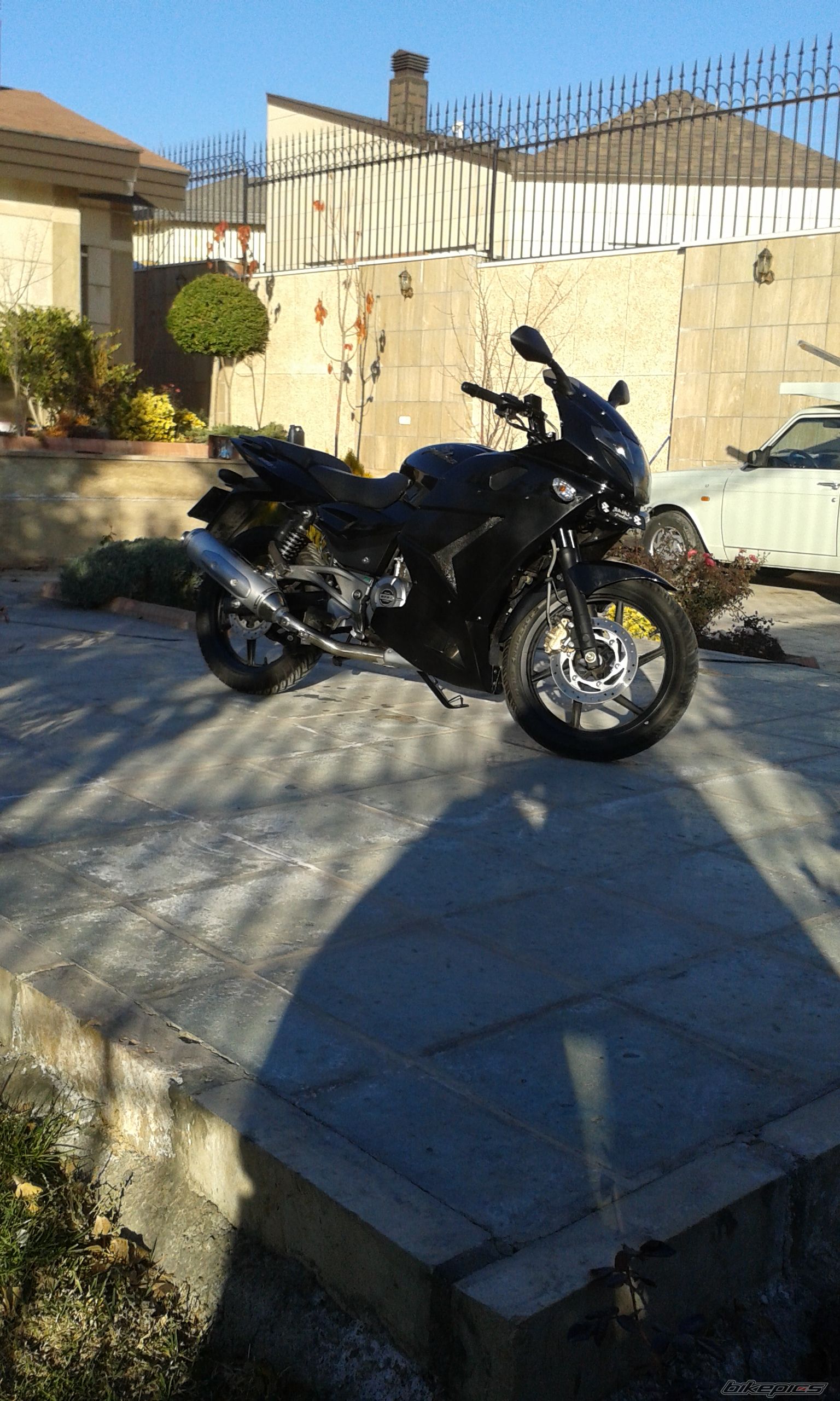 2015 BAJAJ PULSAR 220F | Picture 2737828 motorcycle photo