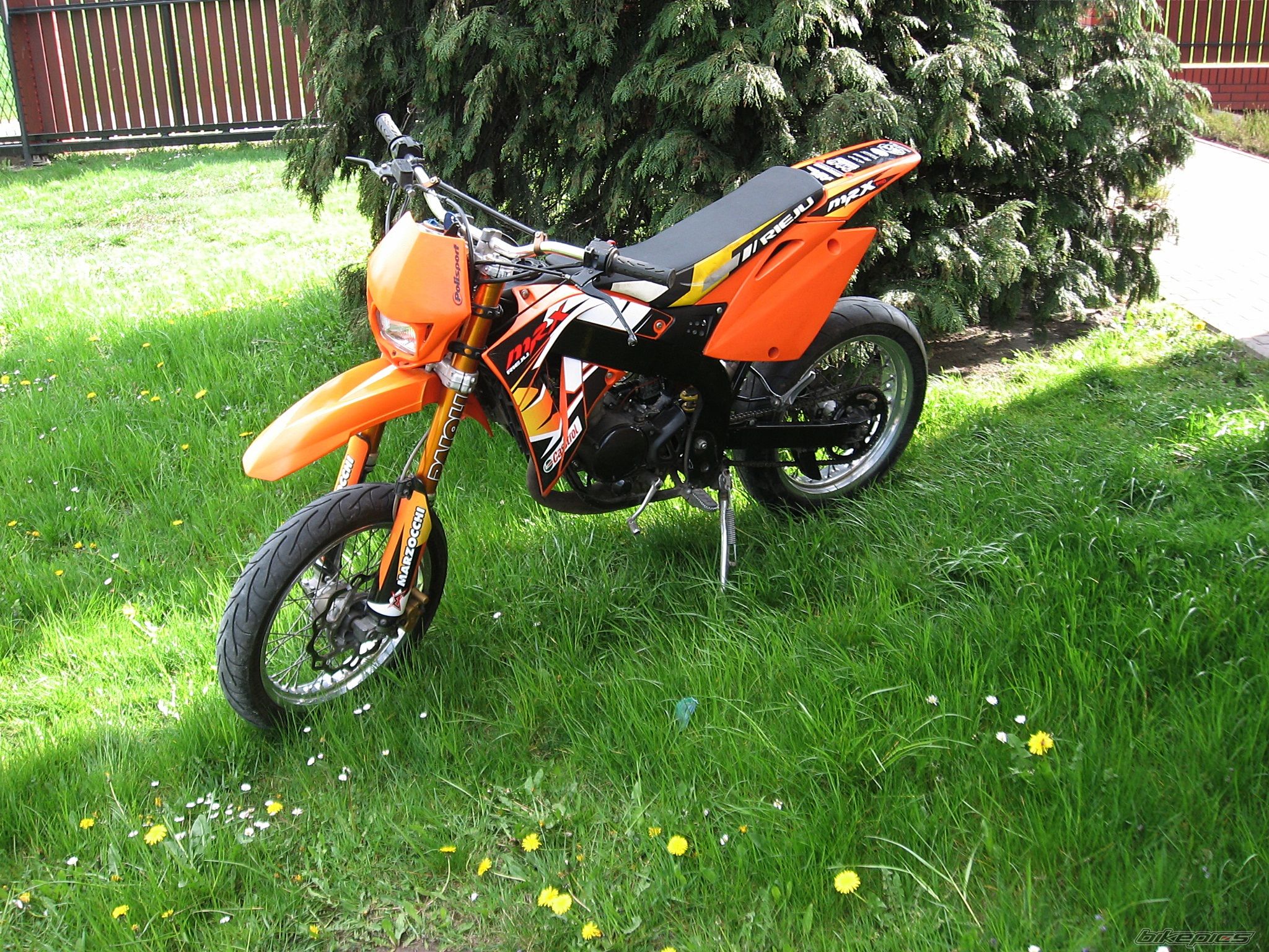 2006 RIEJU MRX 50 PRO | Picture 2738666 motorcycle photo