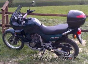 1999 HONDA XL 600V TRANSALP | Picture 2738748 motorcycle photo