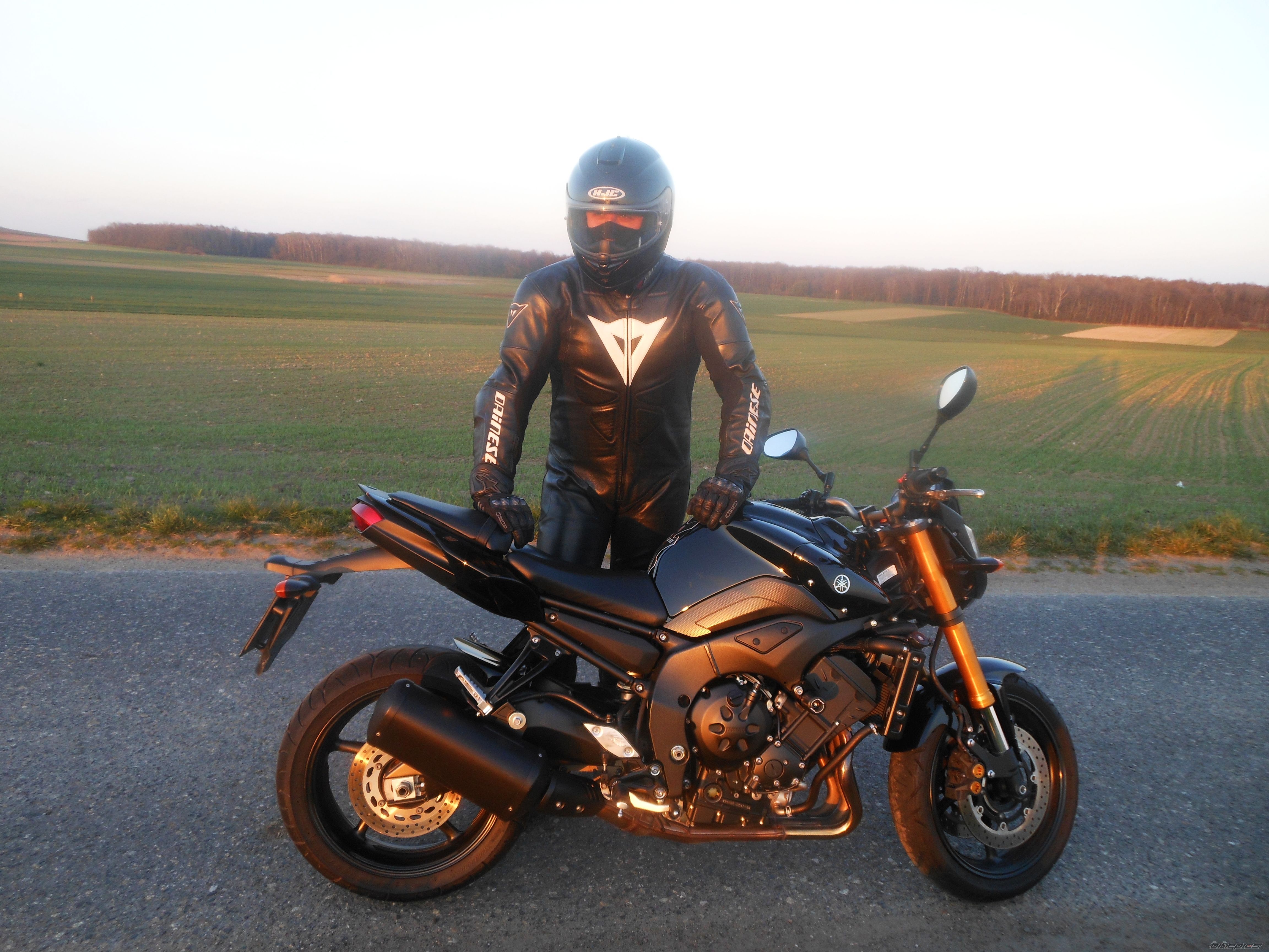 2009 YAMAHA FZ 8 | Picture 2738958 motorcycle photo