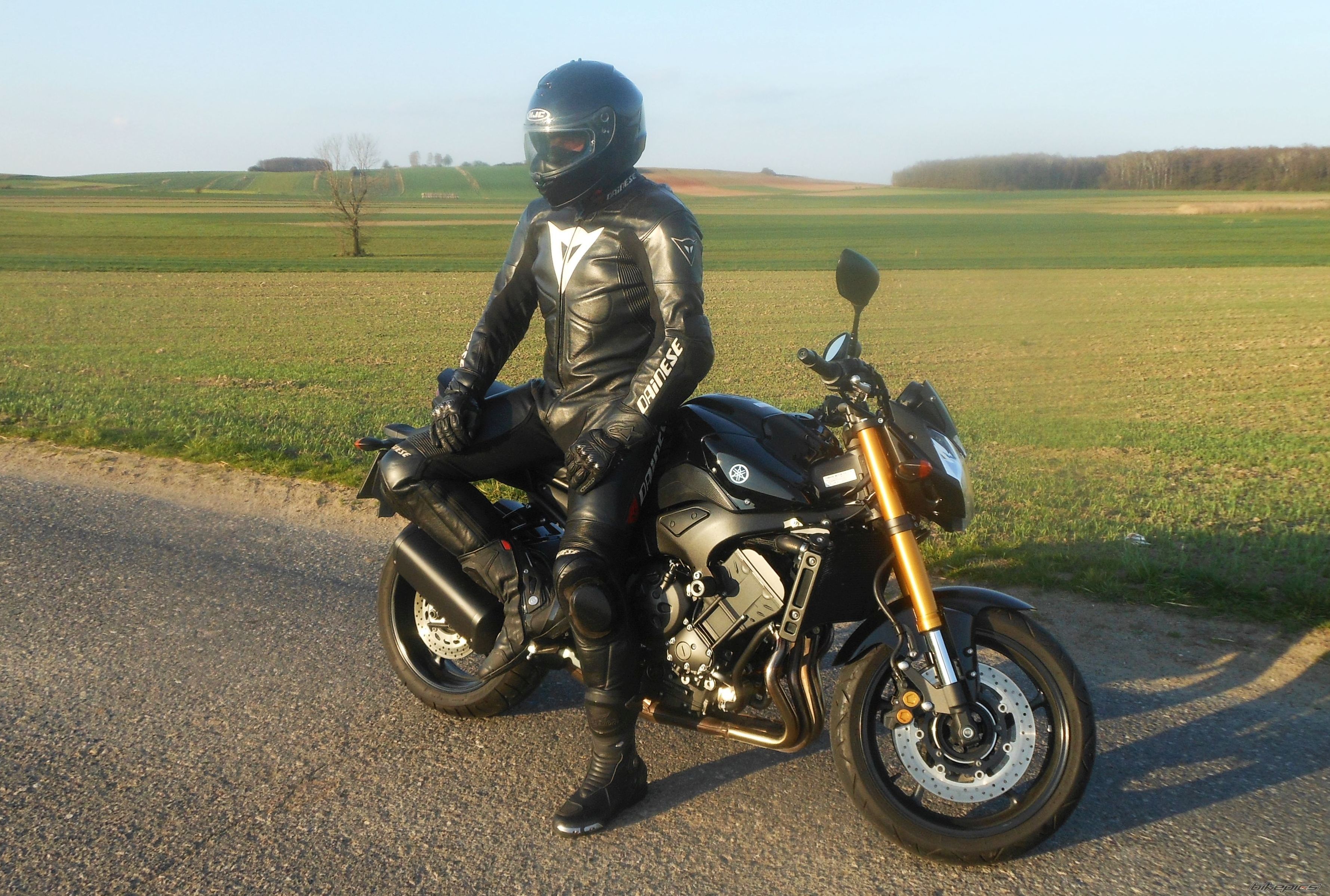 2009 YAMAHA FZ 8 | Picture 2738959 motorcycle photo